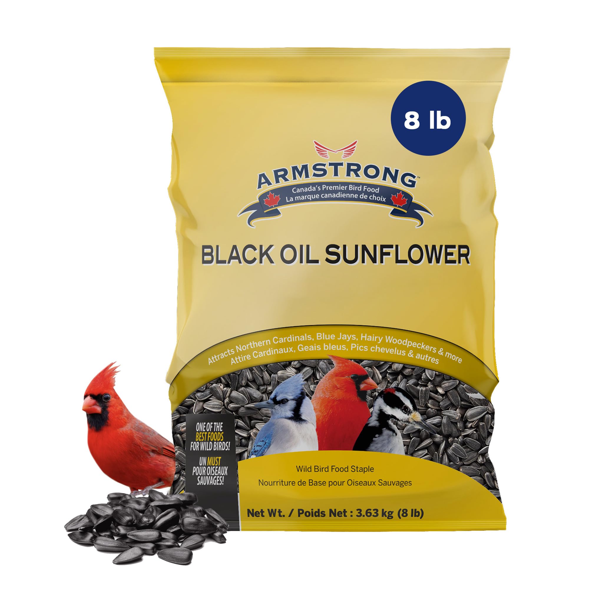 Amazon.com : Armstrong Bird Food Black Oil Sunflower Bird Seed, 8
