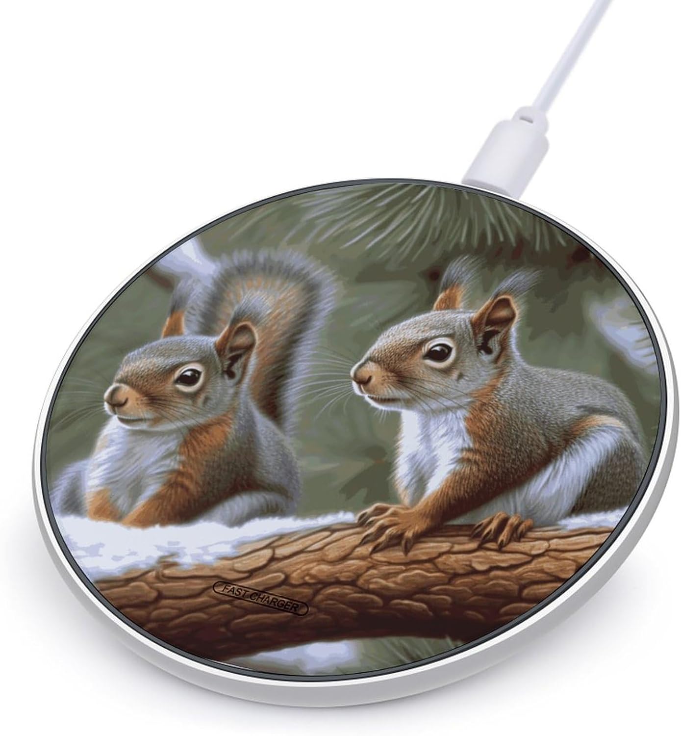 Little Squirrel Wireless Charging Pad with USB Cable 10W Magnetic Wireless Charger Fast Charging Pad Portable Slim Charger Puck Lightweight Travel Chargings Station