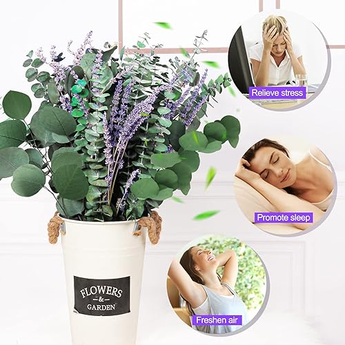 Miniatura 4 de Paquete de 115 tallos grandes de eucalipto preservados secos y flores de lavanda para ducha, hojas de dólar de plata colgantes frescas reales de 17