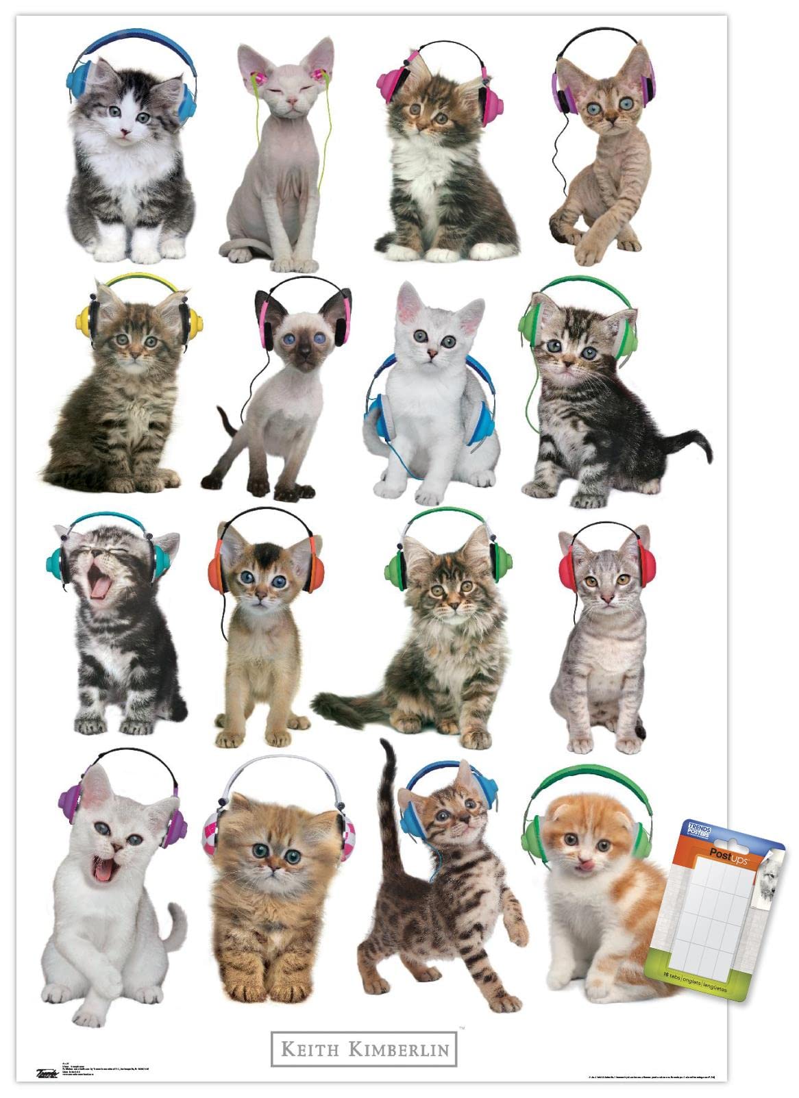 Trends International Keith Kimberlin - Kittens - Headphones Wall Poster, 14.725" x 22.375", Premium Poster & Mount Bundle