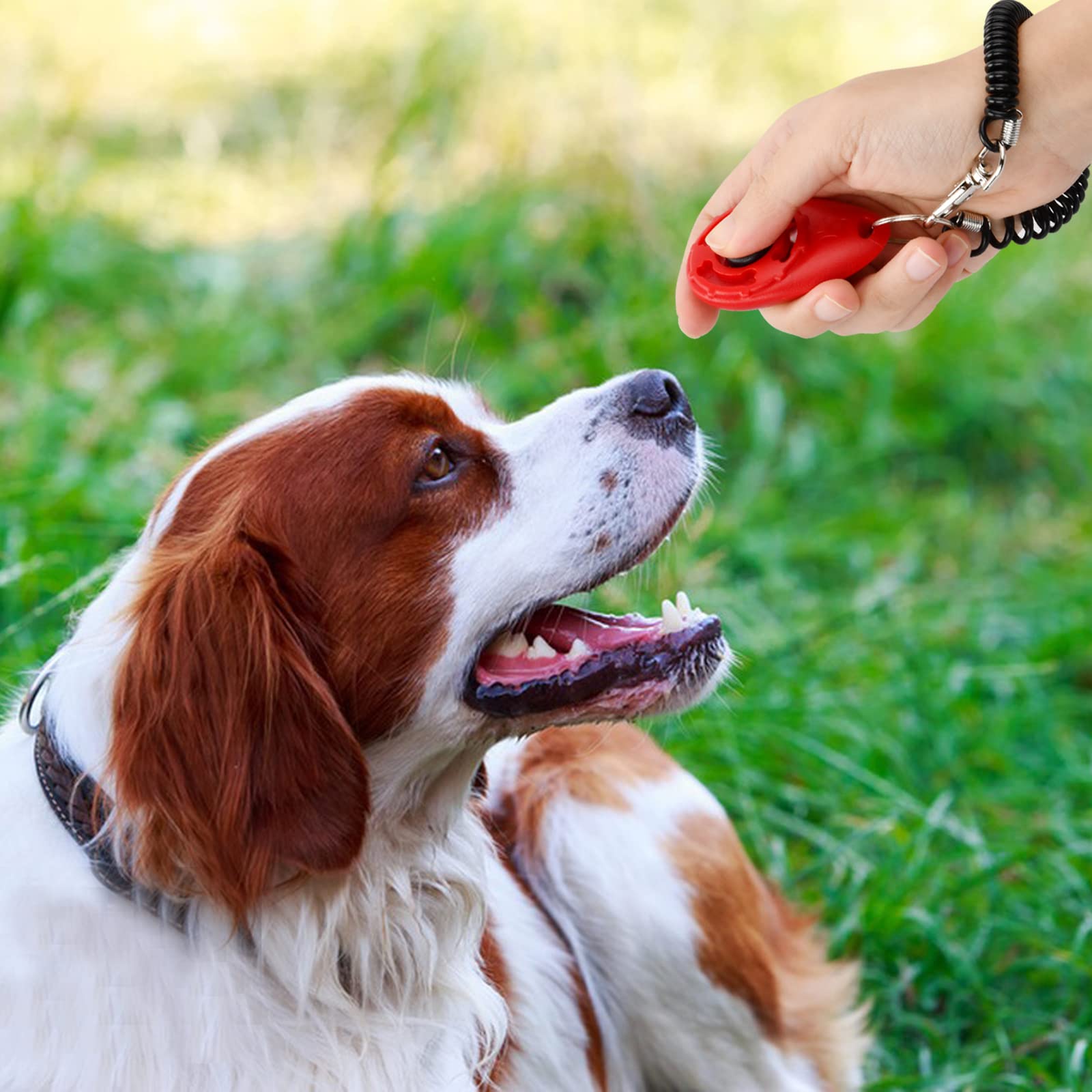 16 Pièces Chiens Clicker Formation, Pet Training Clicker, Professionnel Clicker avec Dragonne élastique, Dog Clicker Training, Dressage de Chiens Clicker pour Chat, Cheval, Chien