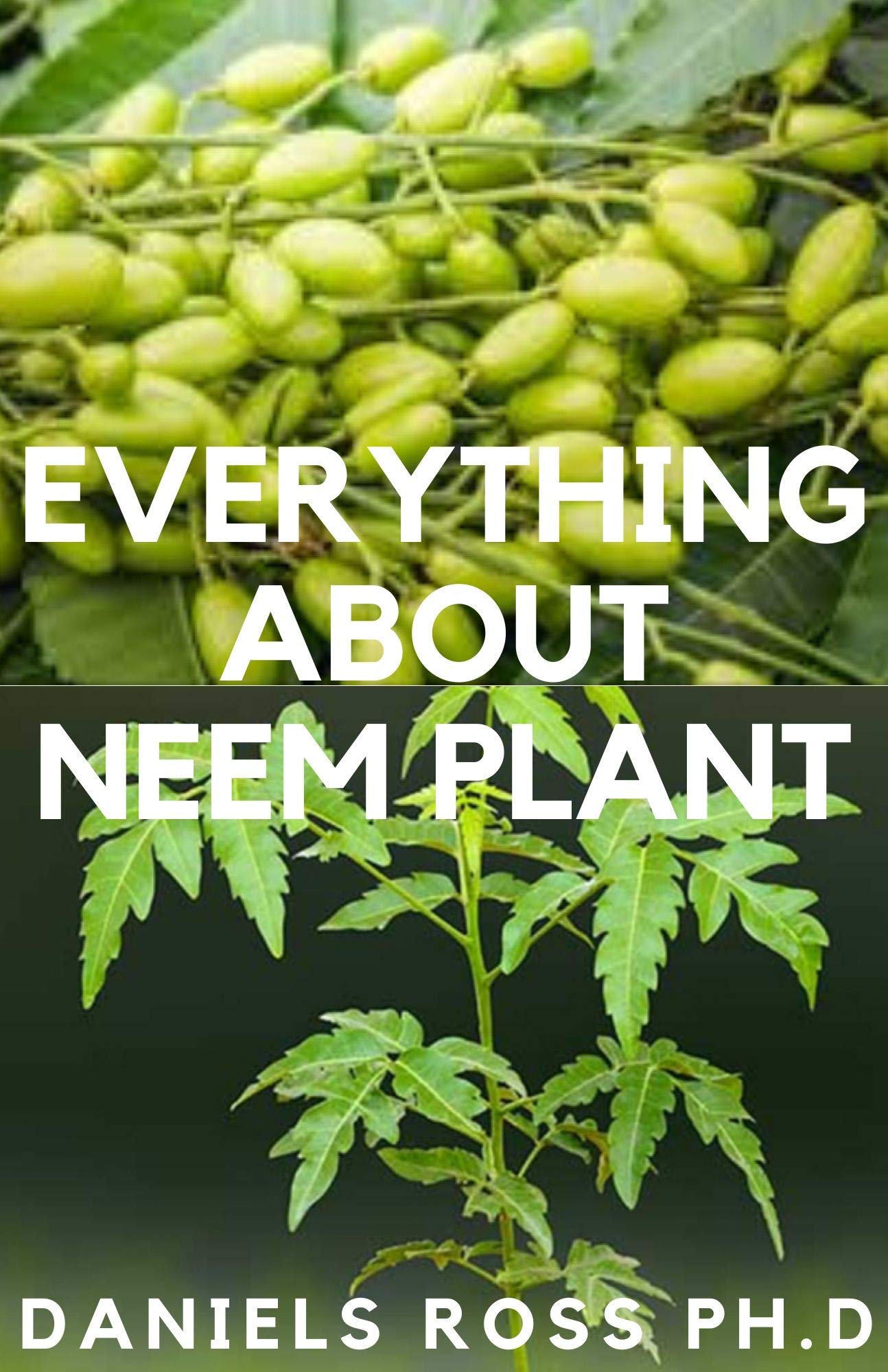 Buy EVERYTHING ABOUT NEEM Neem Oil, Healing Properties