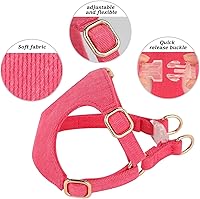 Vista 2 de Didog Juego de arnés y correa para perro pequeño, suave y lindo arnés para perros pequeños, arnés ajustable para perros pequeños, arnés para perros