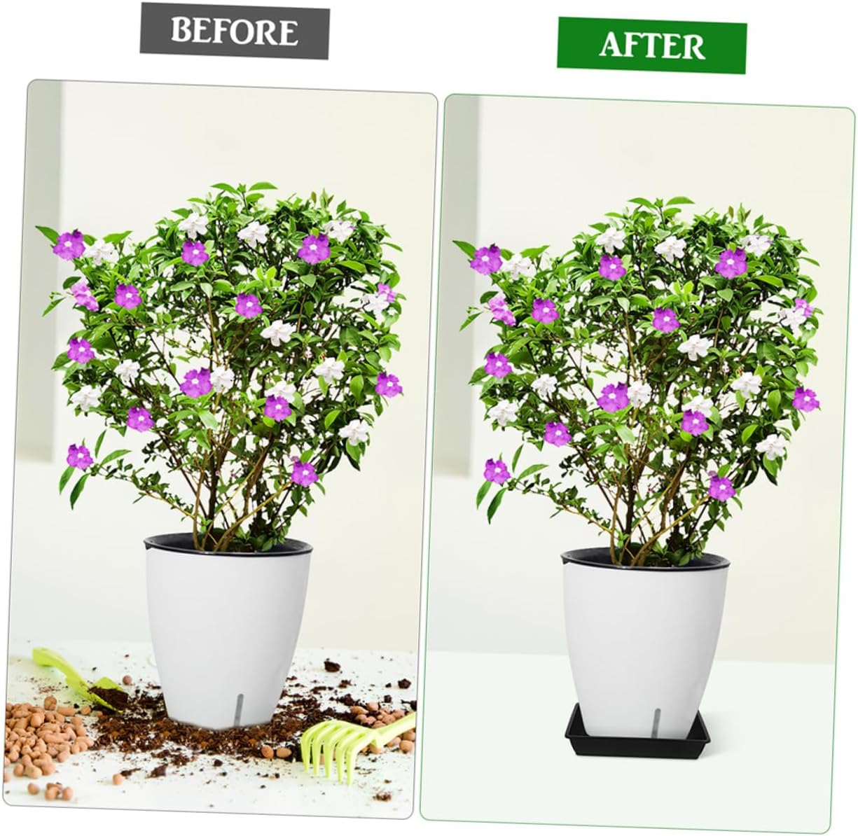 MERRYHAPY Bonsai Plastic Tray Set of 10 Square Plant Saucer Drainage for Easy Care