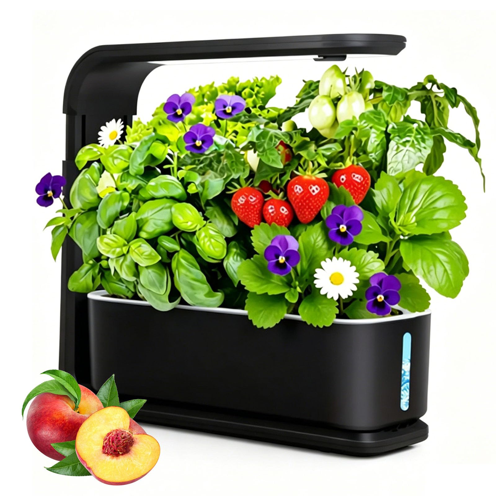Kit de Cultivo Hidropónico, Jardín de Hierbas Interior con Temporizador de 10H, 3 Cápsulas de Plantas con Riego Automático Por Circulación, Tanque de 1,6L, Lámpara Led, Nivel de Agua Transparen black