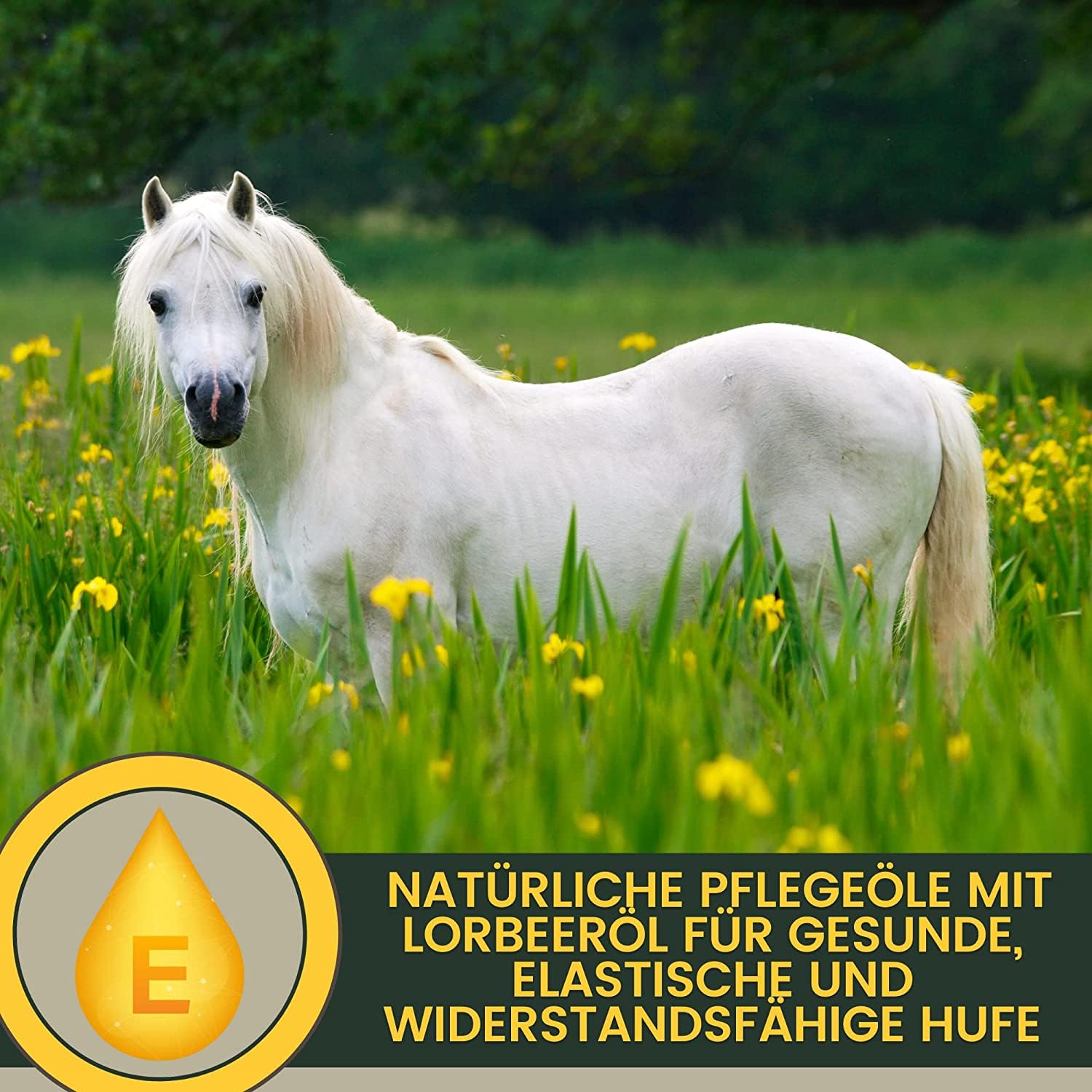 EMMA Huffett Pferd & Hufgel mit Lorbeeröl – 3×500 ml Hufpflege