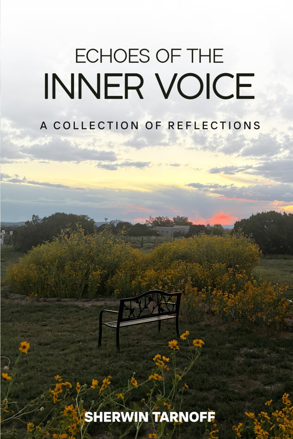 Echoes of the Inner Voice: A Collection of Reflections