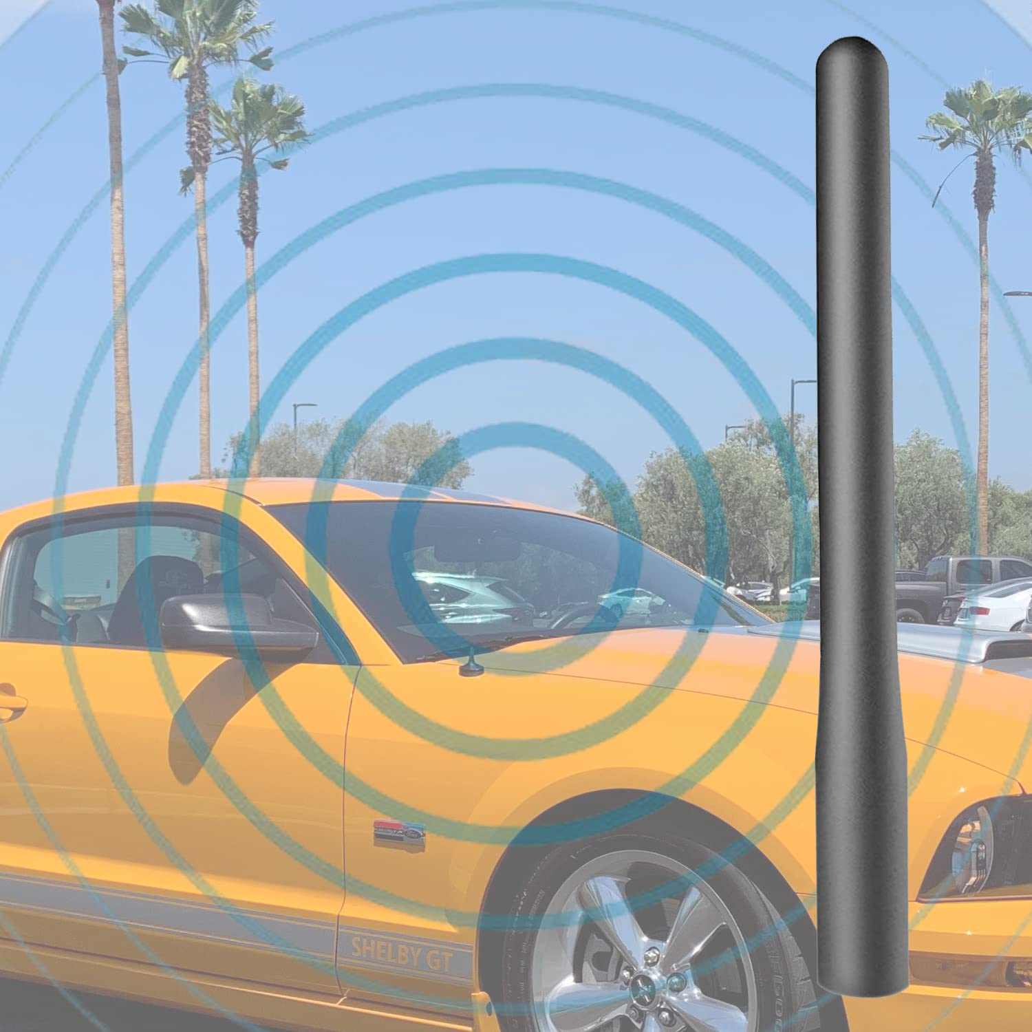 Antena De Acero Inoxidable Negra Para Ford Mustang 1979-2009 - Mástil De 32 Pulgadas Para AM/FM