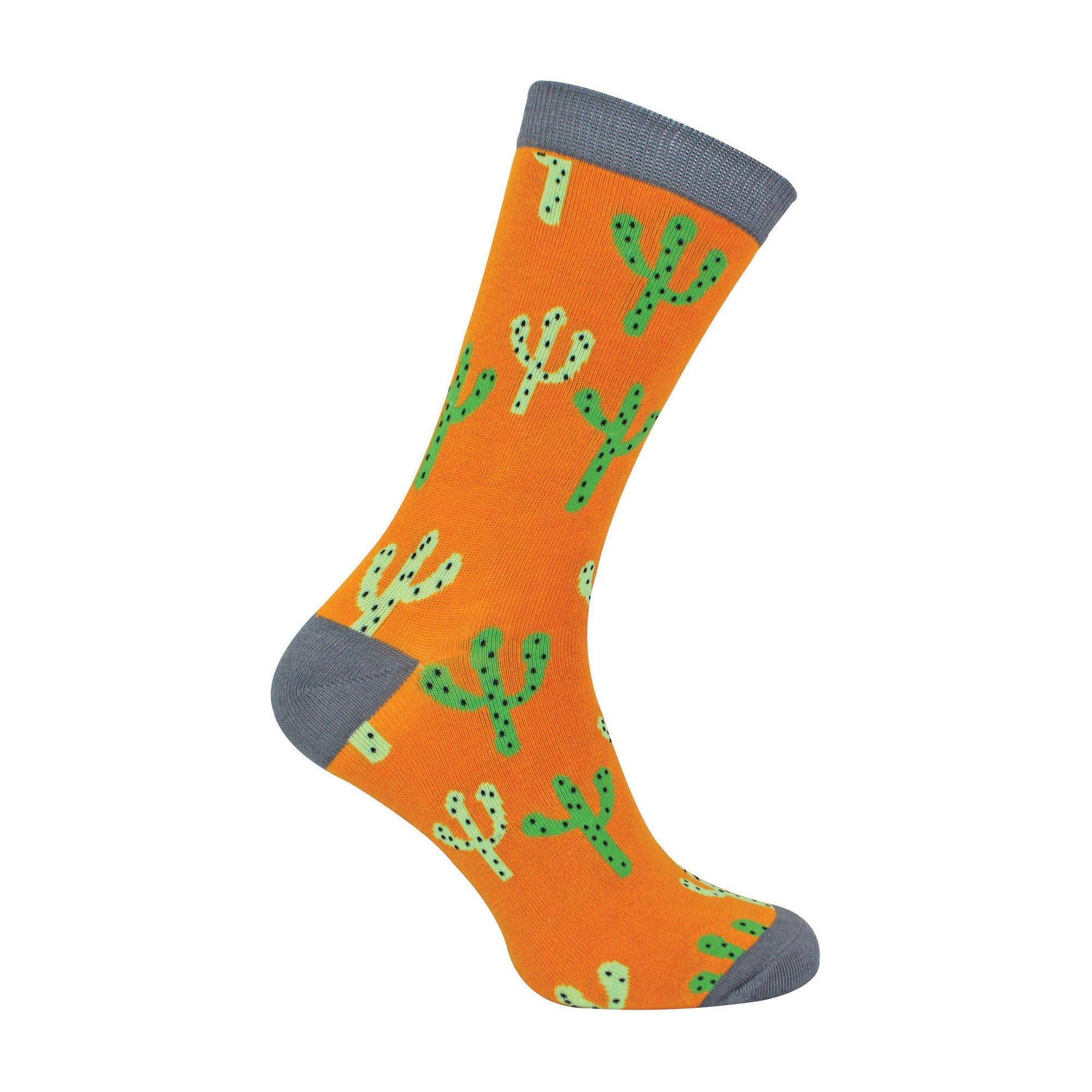 Miss Sparrow Mr Heron - Mens Cactus Socks | Novelty Colourful Funny Plant Printed Bamboo Socks