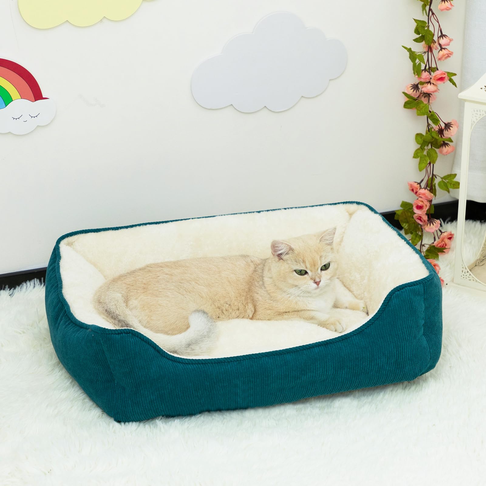 Hollypet Cat Bed Small Dog Bed Pet Bed for Cats and Puppy Soft Pet Sleeping Bed Breathable Pet Cushion, Green(55 * 45 * 15cm) - Image 4