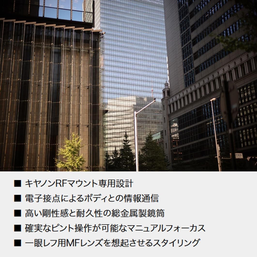 レンズ(ズーム) Sony SEL55210 55-210mm F4.5-6.3 Voigtlander フォクトレンダー NOKTON 40mm F1.2 Aspherical RF-mount
