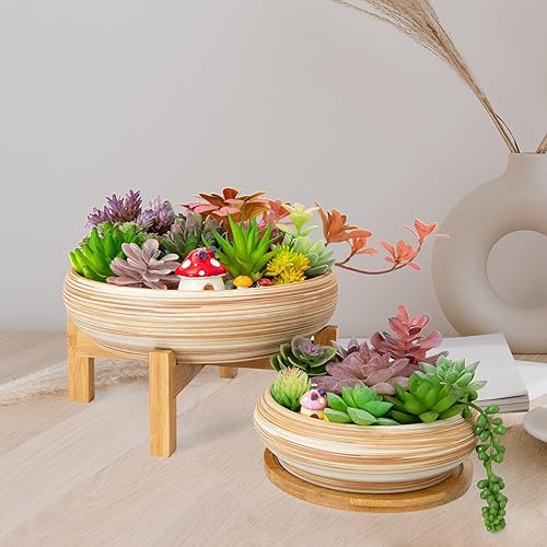 Miniatura 21 de ARTKETTY Macetas para suculentas con drenaje, maceta grande para suculentas con soporte y platillo, macetas poco profundas para bonsái de cerámica