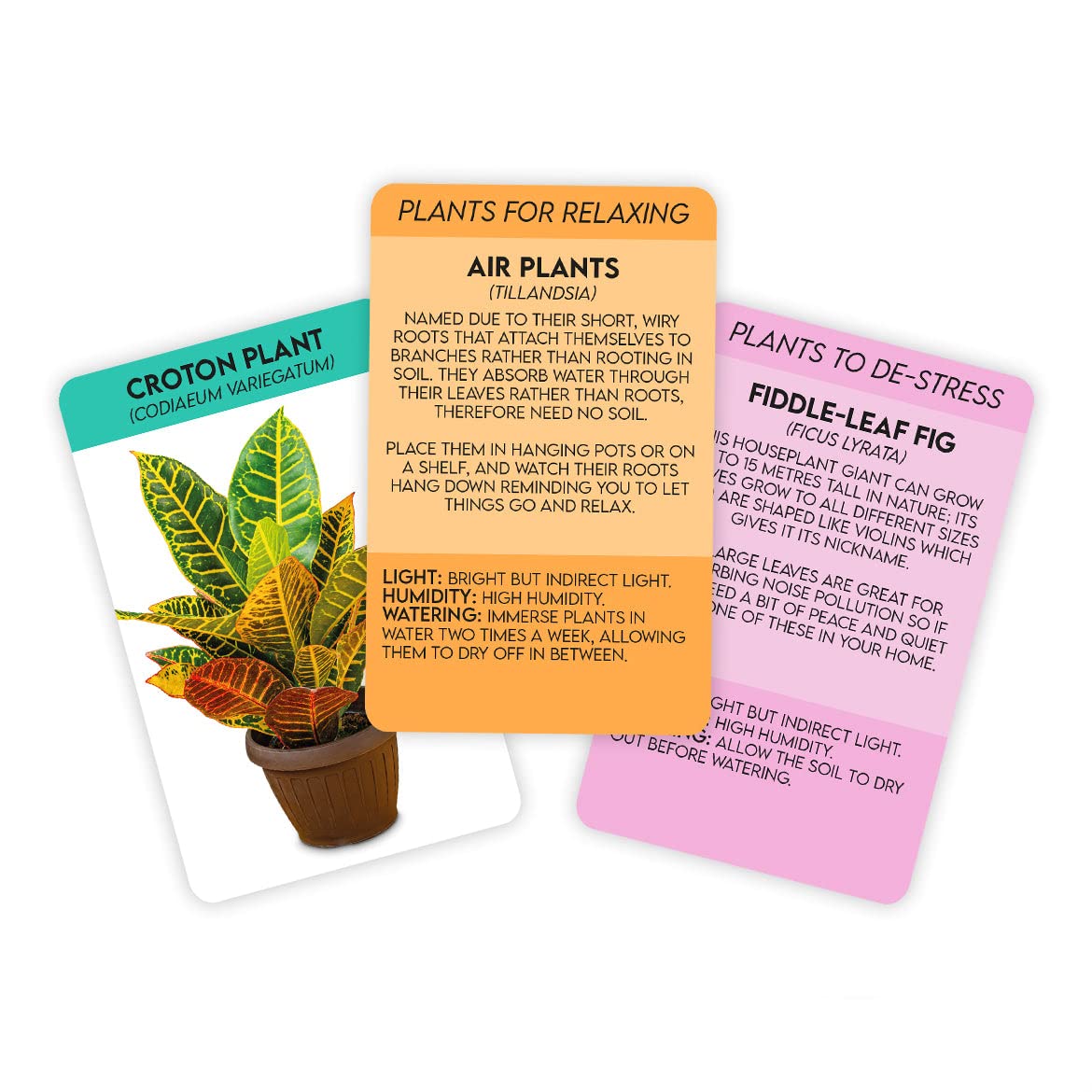 Gift Republic Positive Plants Card Pack, Green - Image 3