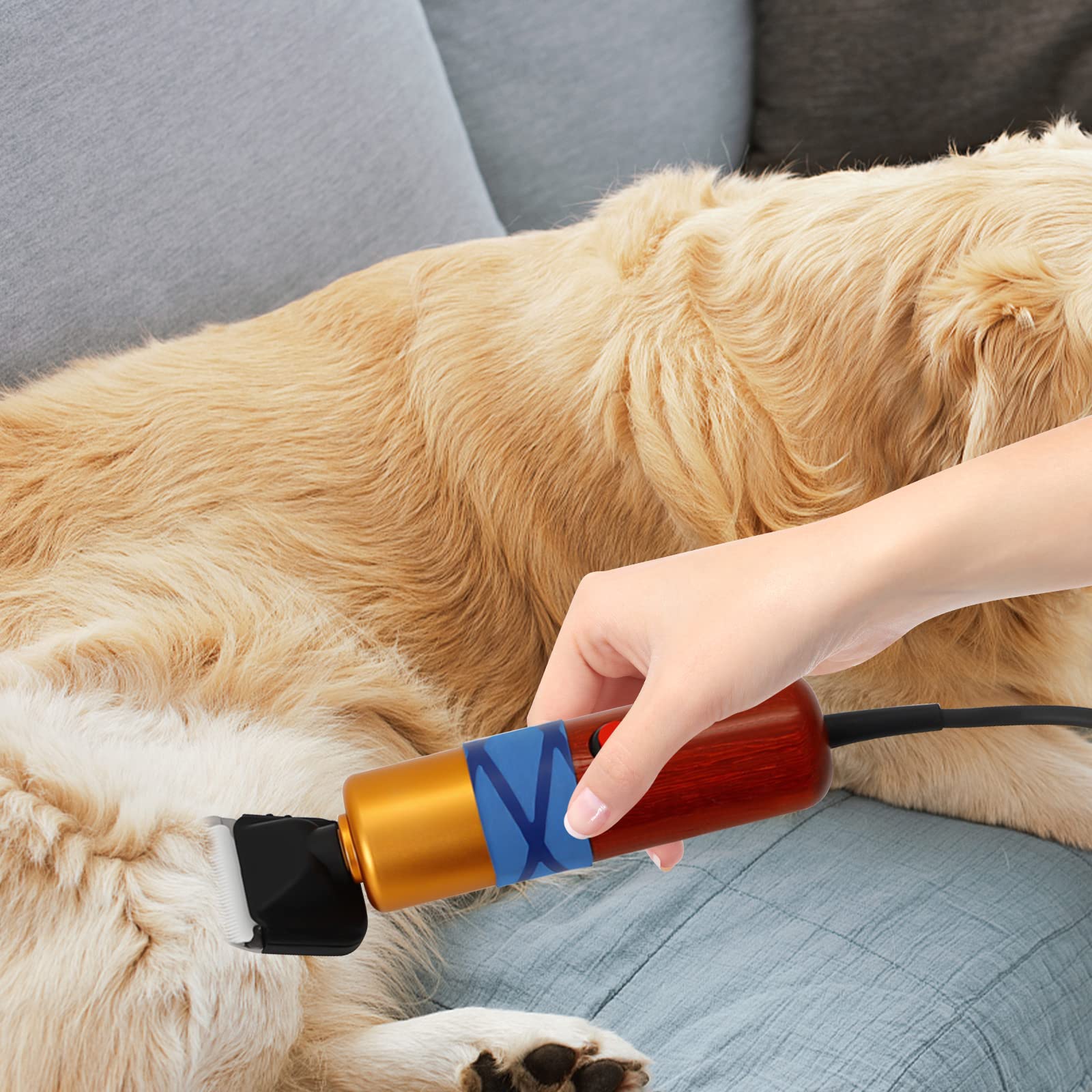 Tondeuse électrique 200 W pour mouton, animaux de compagnie, avec mallette