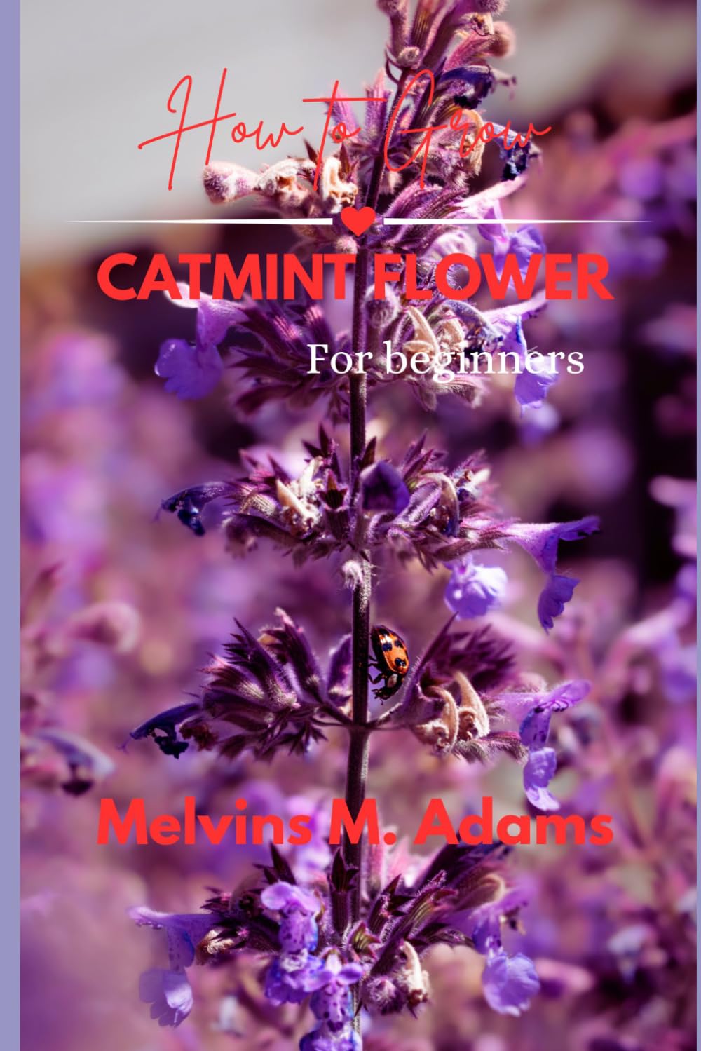 How to Grow Catmint Flower for Beginners: The Ultimate Beginner’s Guide to Growing, Caring for, and Harvesting Stunning Catmint at Home and garden