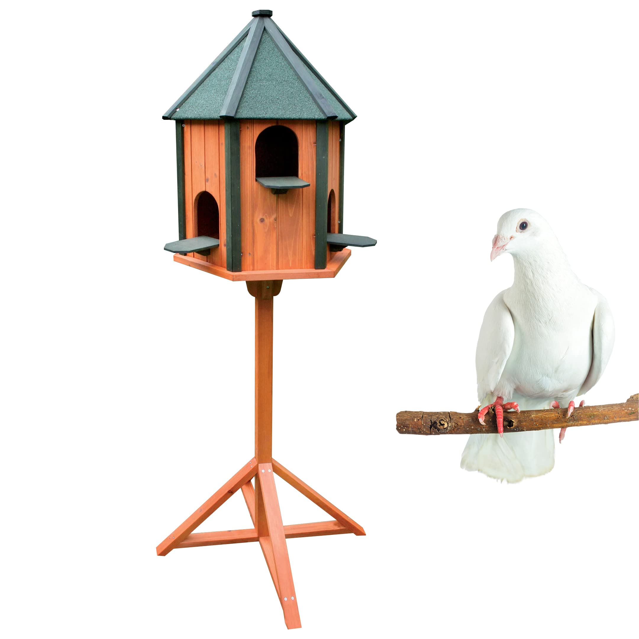 Palomar Ramier - Caseta Exterior para Palomas y Otros pájaros