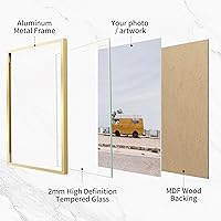 Vista 96 de Fun Memories Portarretratos de metal de 16 x 20 pulgadas con paspartú de 11 x 14 pulgadas, acabado de aluminio cepillado, parte delantera de vidrio