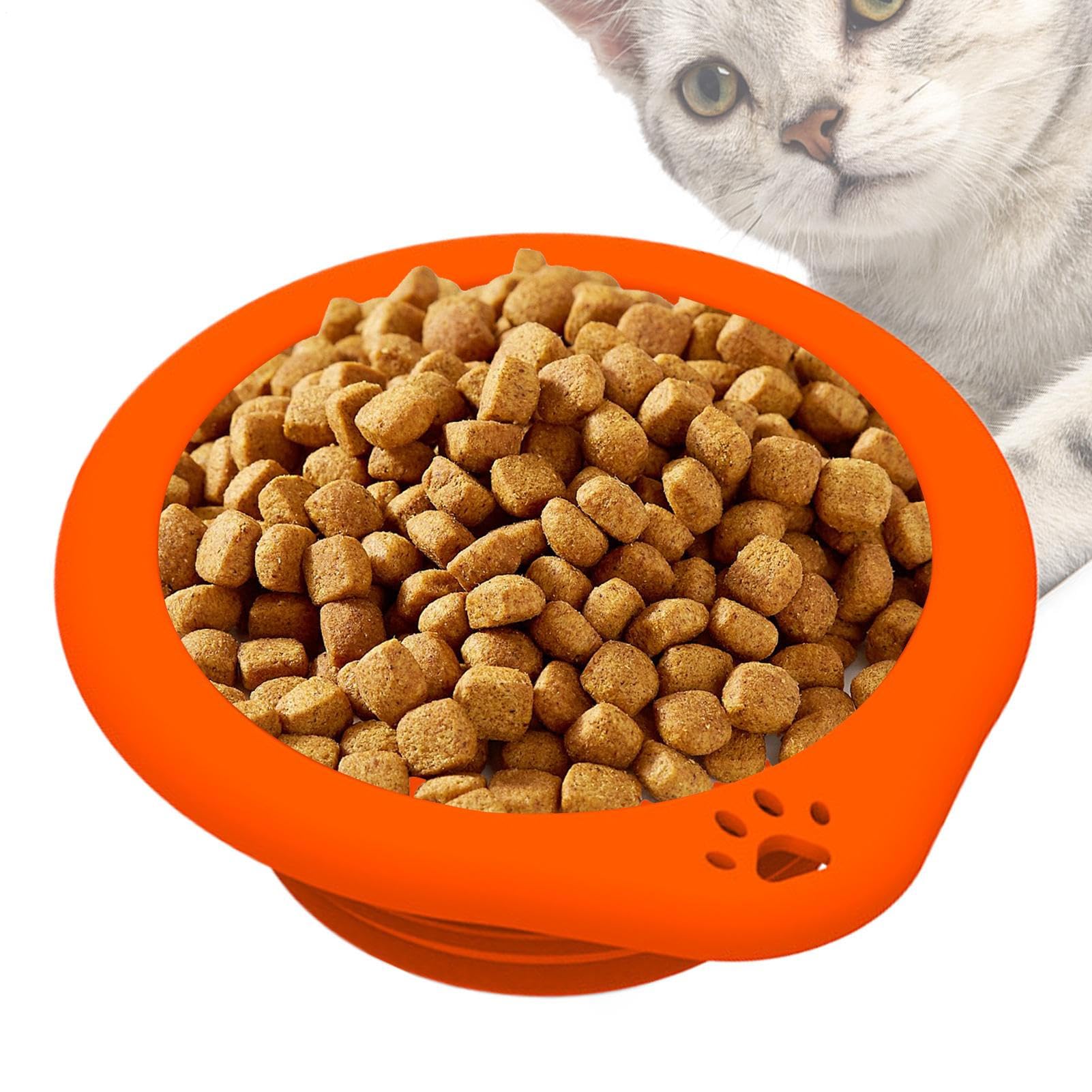 Gamelle d'eau Pliable pour Animaux Gamelle Portable pour Animaux De