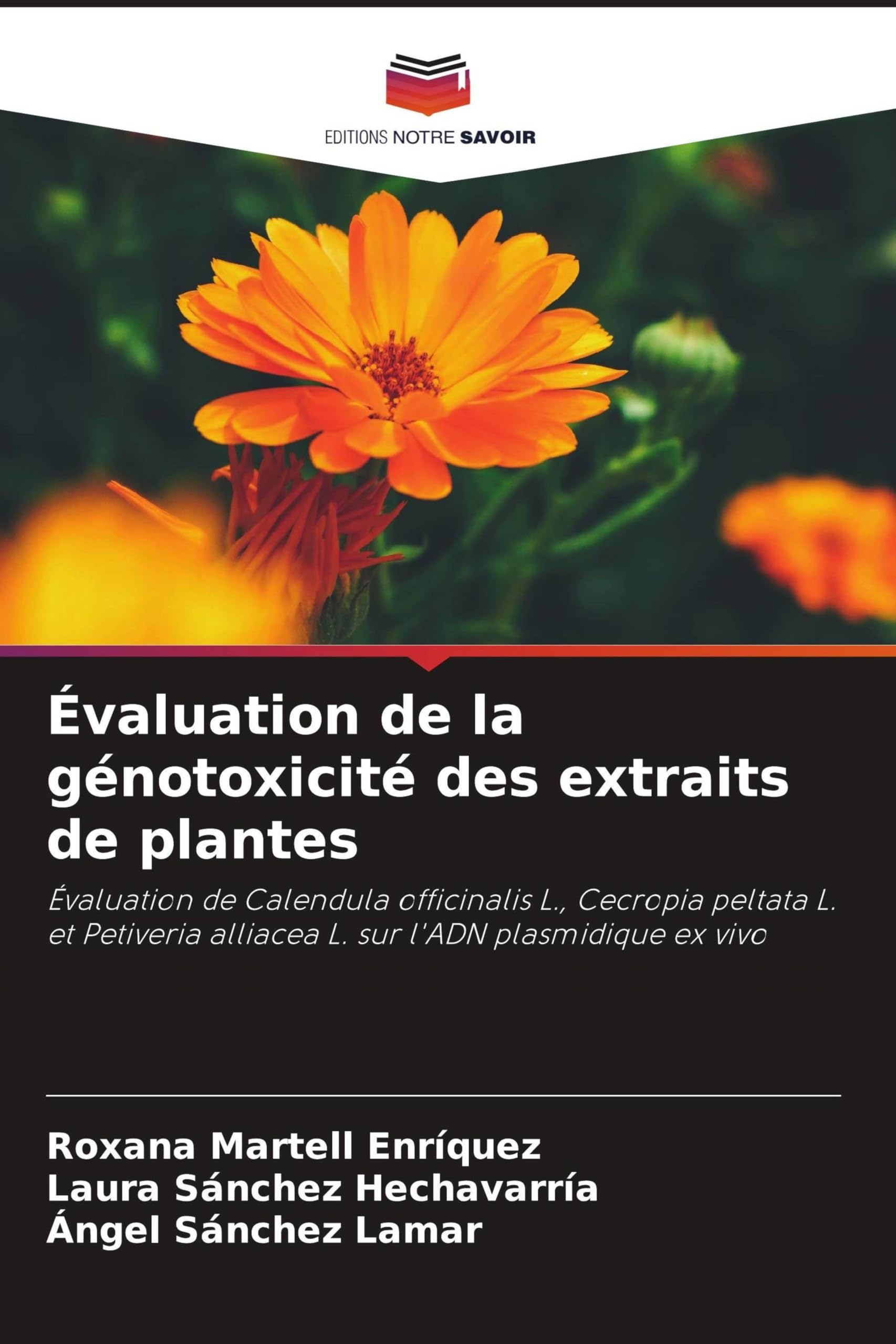 Évaluation de la génotoxicité des extraits de plantes: Évaluation de Calendula officinalis L., Cecropia peltata L. et Petiveria alliacea L. sur l'ADN plasmidique ex vivo