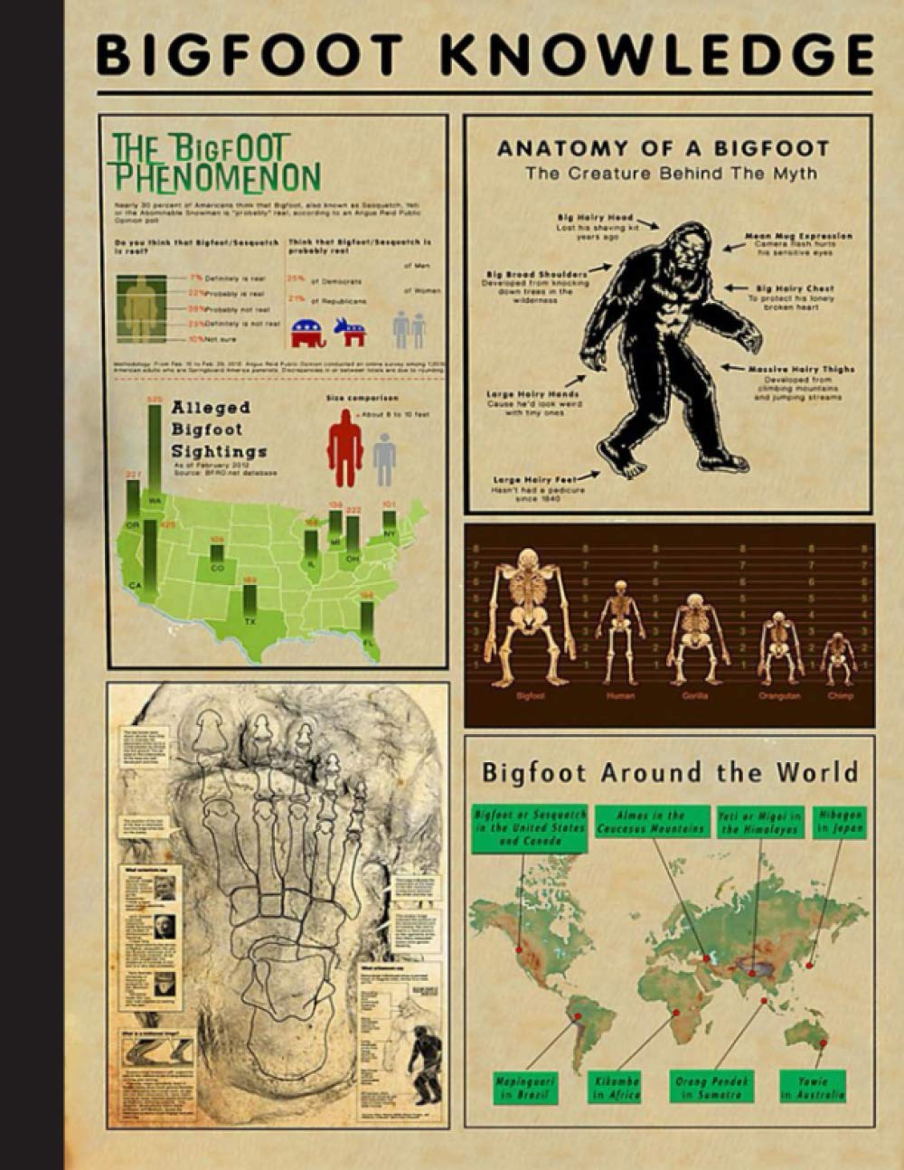Bigfoot Knowledge Notebook: Funny Gift For Bigfoot Lovers- Notebook, Planner Or Journal For Writing About Bigfoot Or For Collecting Ideas ... To Write In for School, Kids & Students