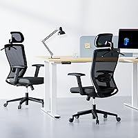 Vista 2 de FLEXISPOT OC3 Cloud - Silla de oficina ergonómica con respaldo alto de malla, giratoria, silla de escritorio de oficina ejecutiva con soporte lumbar