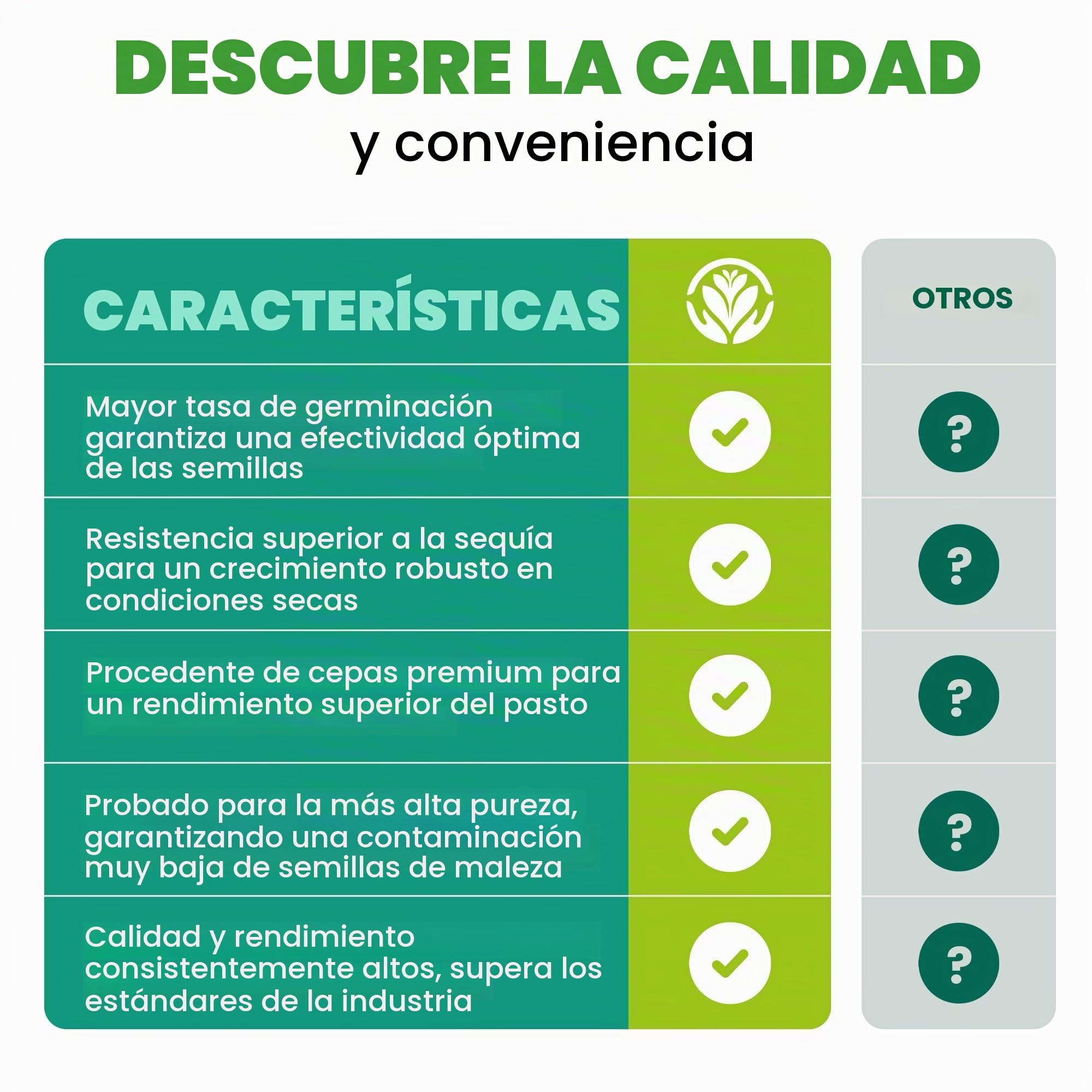 1kg Semillas de Trébol Blanco Micro Ecológicas Resistente a la Sequía para Césped