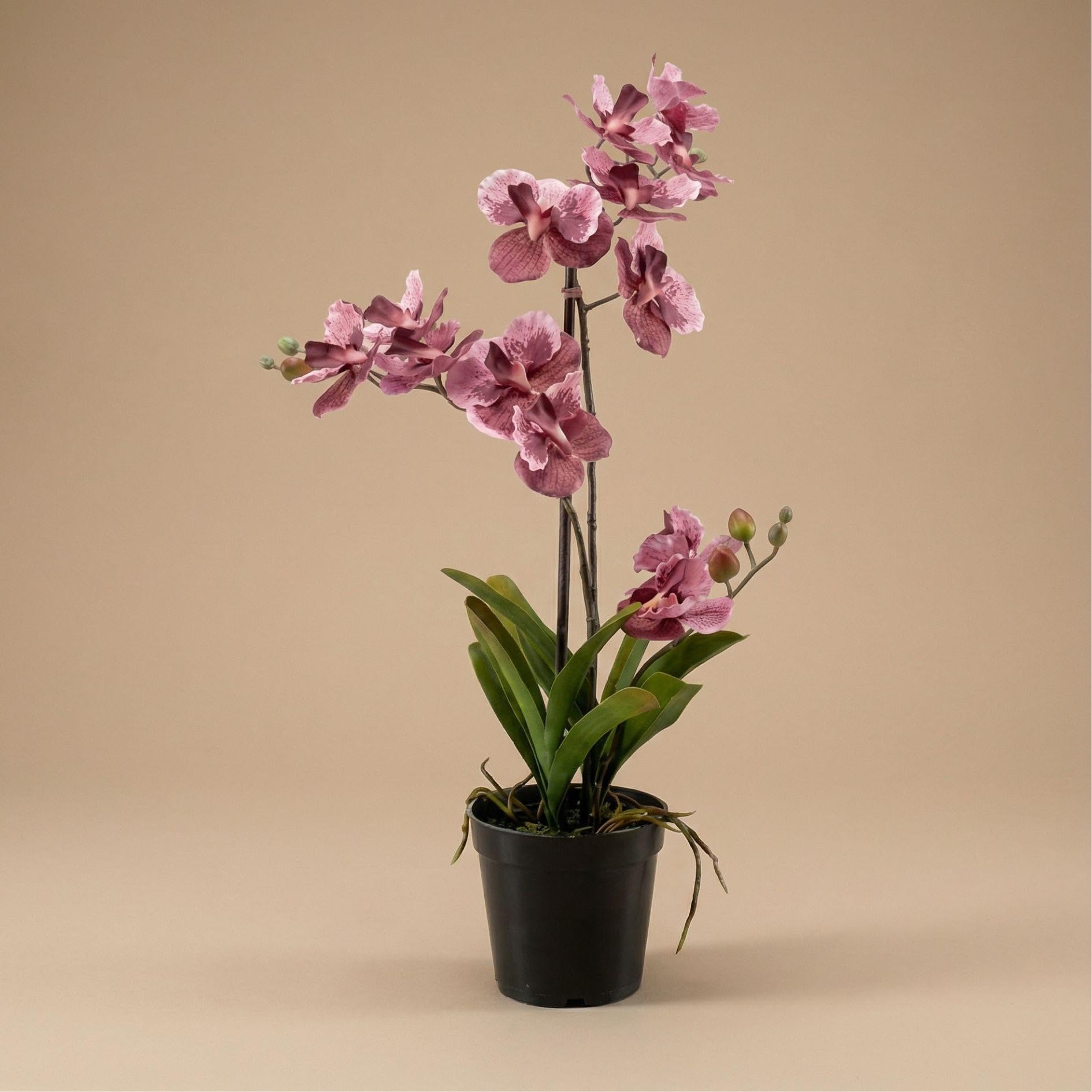 Orchidea Vanda sztuczna roślina – ok. 60 cm – brudny róż – sztuczna orchidea w doniczce – bez pielęgnacji roślina dekoracyjna do salonu, biura i recepcji