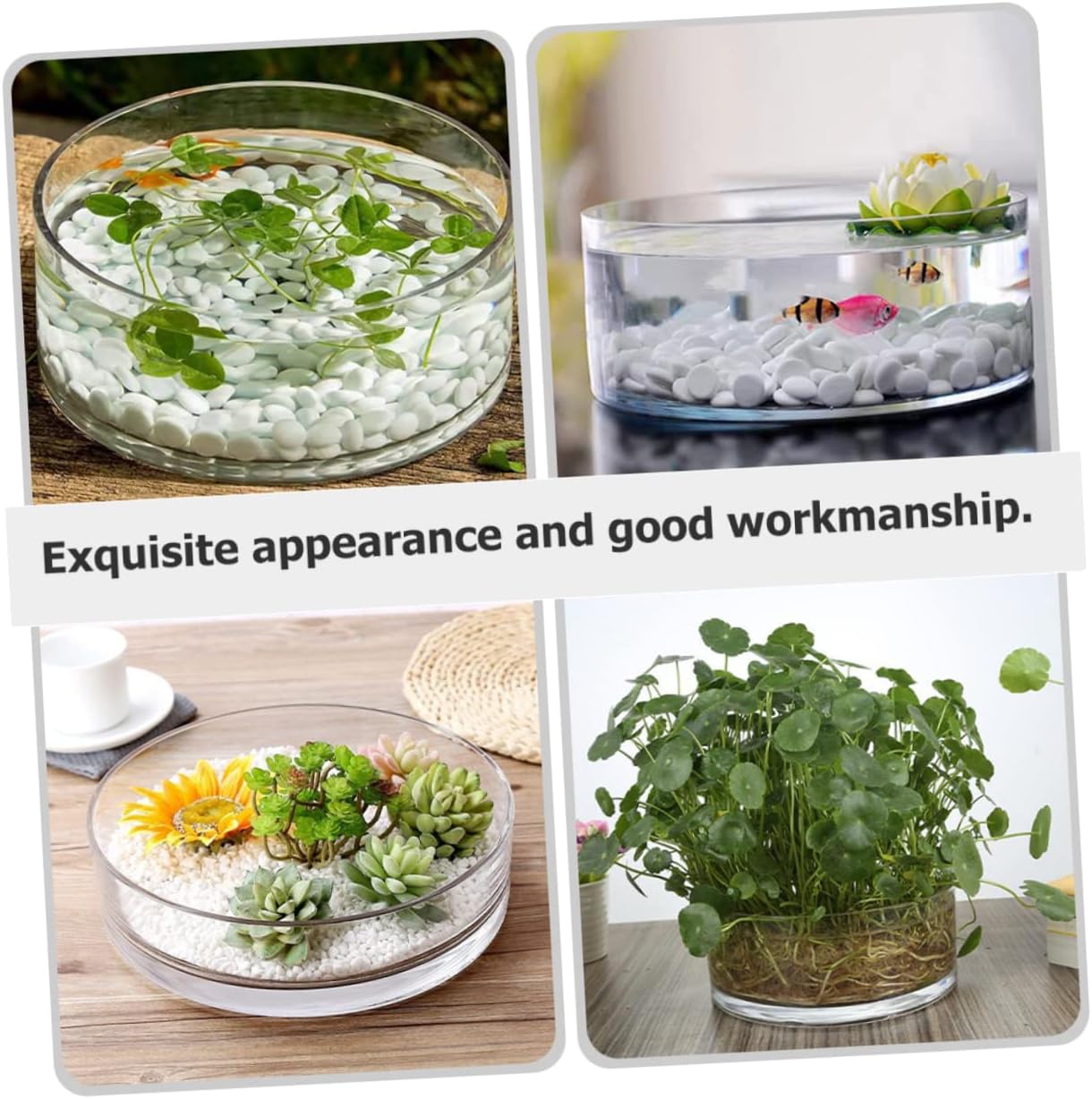 BESPORTBLE Glass Hydroponic Planter Vase for Indoor Decoration Large Round Flower Vase Wide Opening for Water Planting and Home Decor