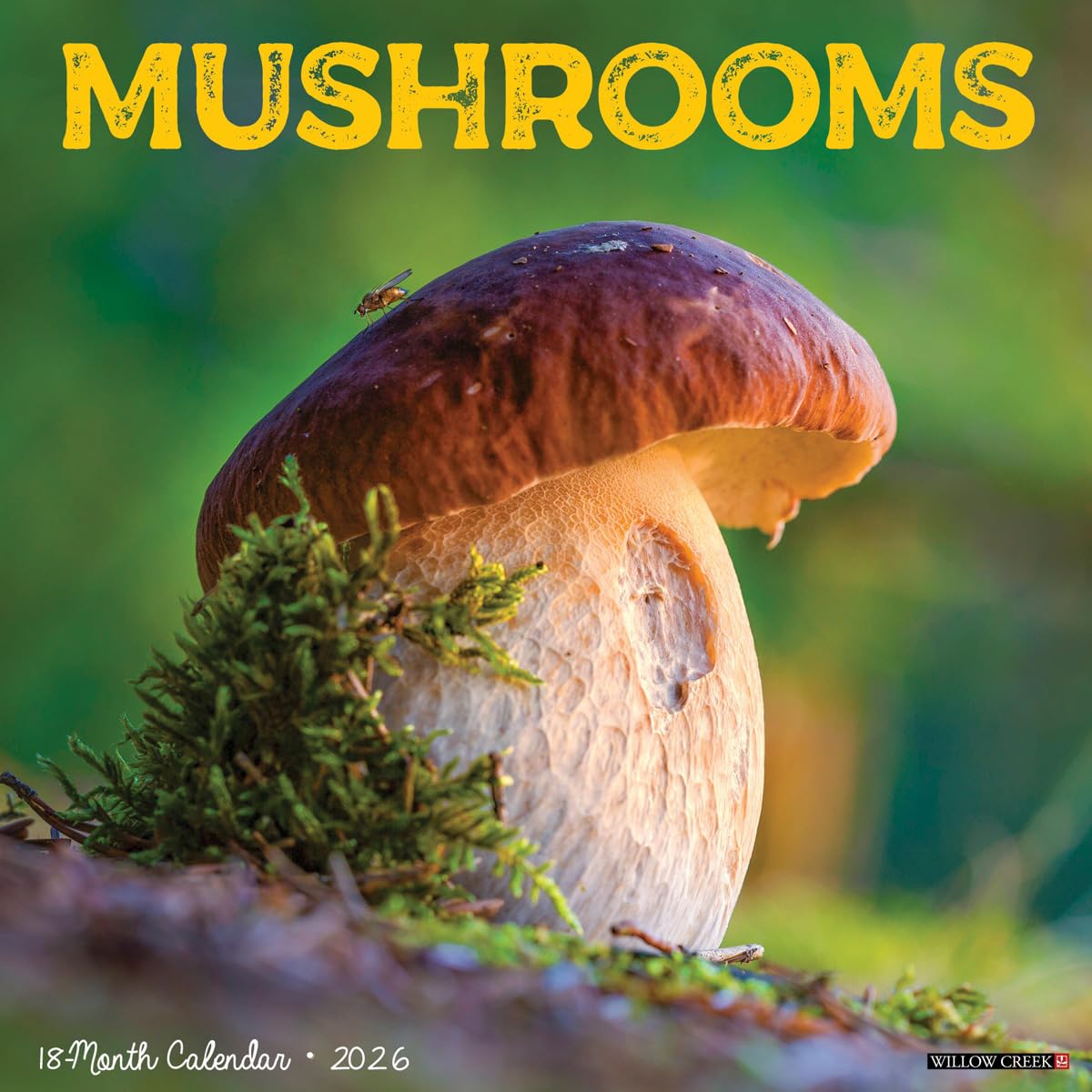 Mushrooms 2026 Wall Calendar