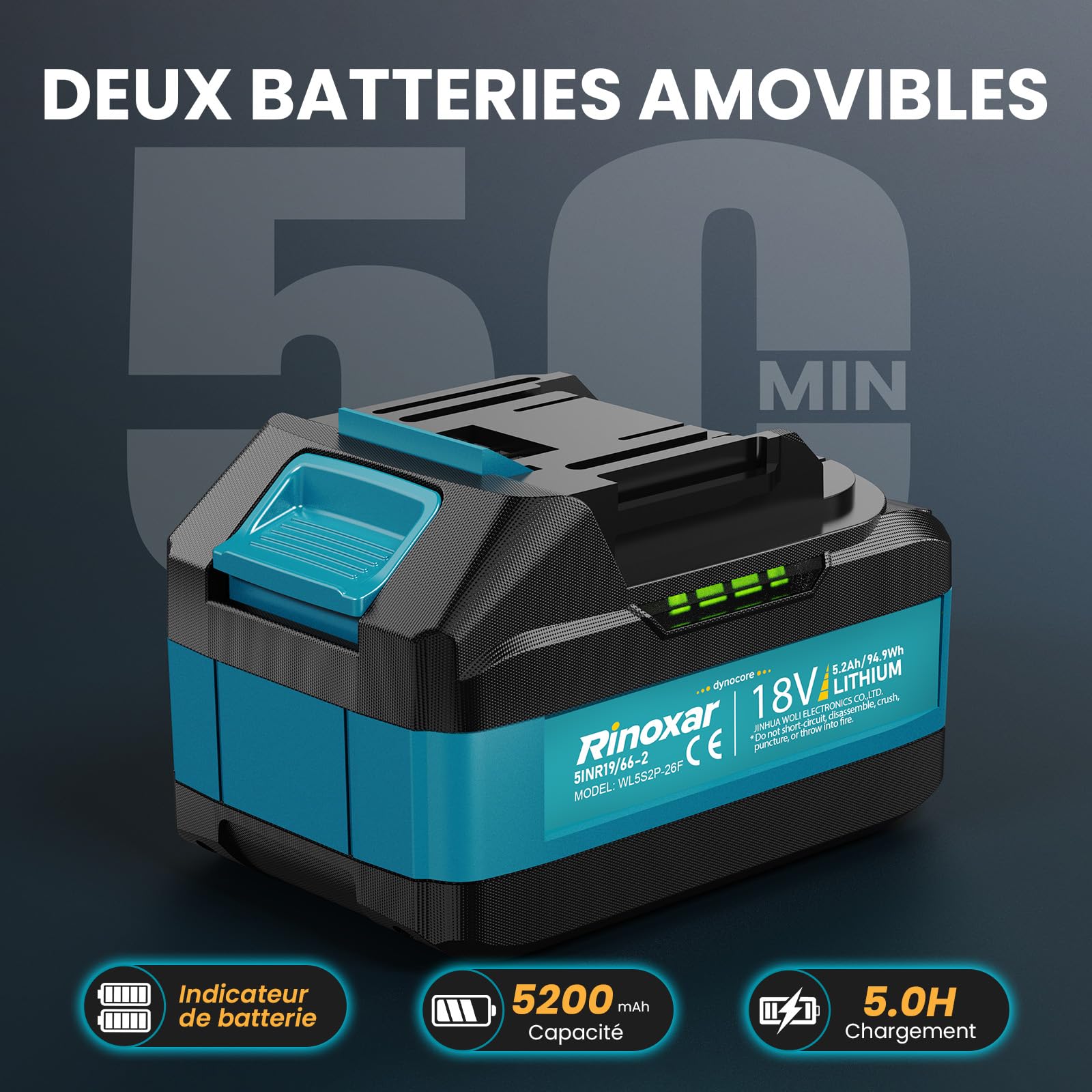 Souffleur Batterie, 5 Vitesses Souffleurs de Feuilles sans Fil avec Moteur Brushless, 2 Batteries 5.2Ah/18V, 35.000 RPM, Vitesse de l'Air 180 km/h, Débit d’Air 800 m³/h, 2 Buses Interchangeables
