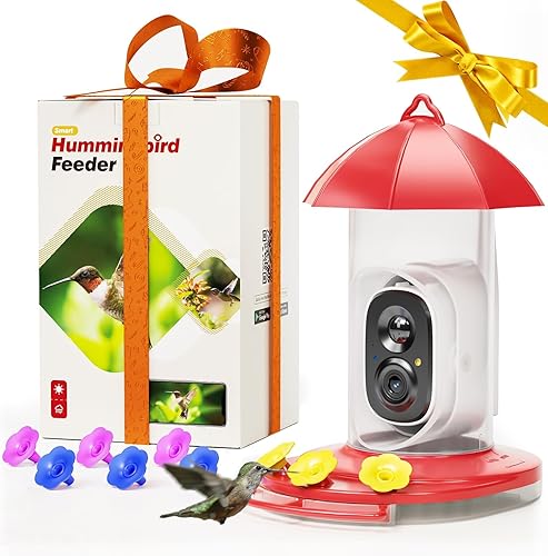 LongPlus Comedero para colibríes con cámara, foso de hormigas, a prueba de abejas, comedero de pájaros con cámara, cámara de observación de aves con