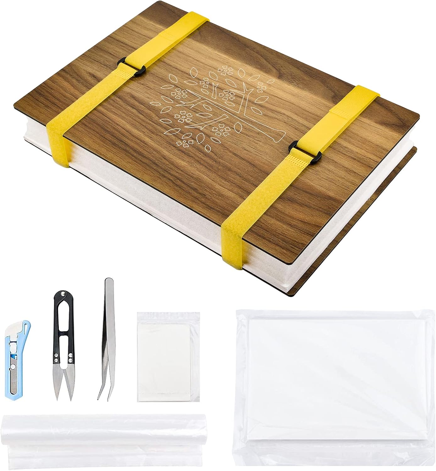 errer 樹脂標本 27種 植物標本 ガラスBOX入り 古道具 アンティーク