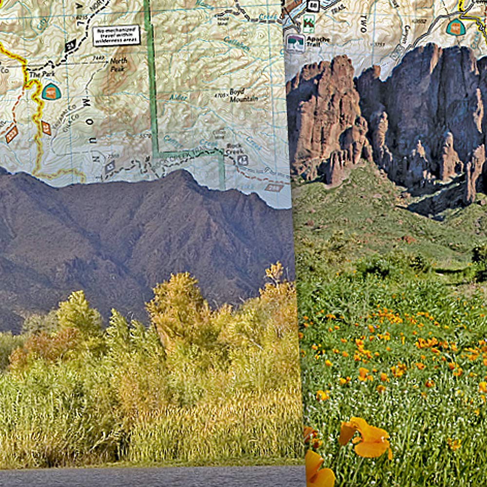 Tonto National Forest (Map Pack): Trails Illustrated Maps (National Geographic Trails Illustrated Map)