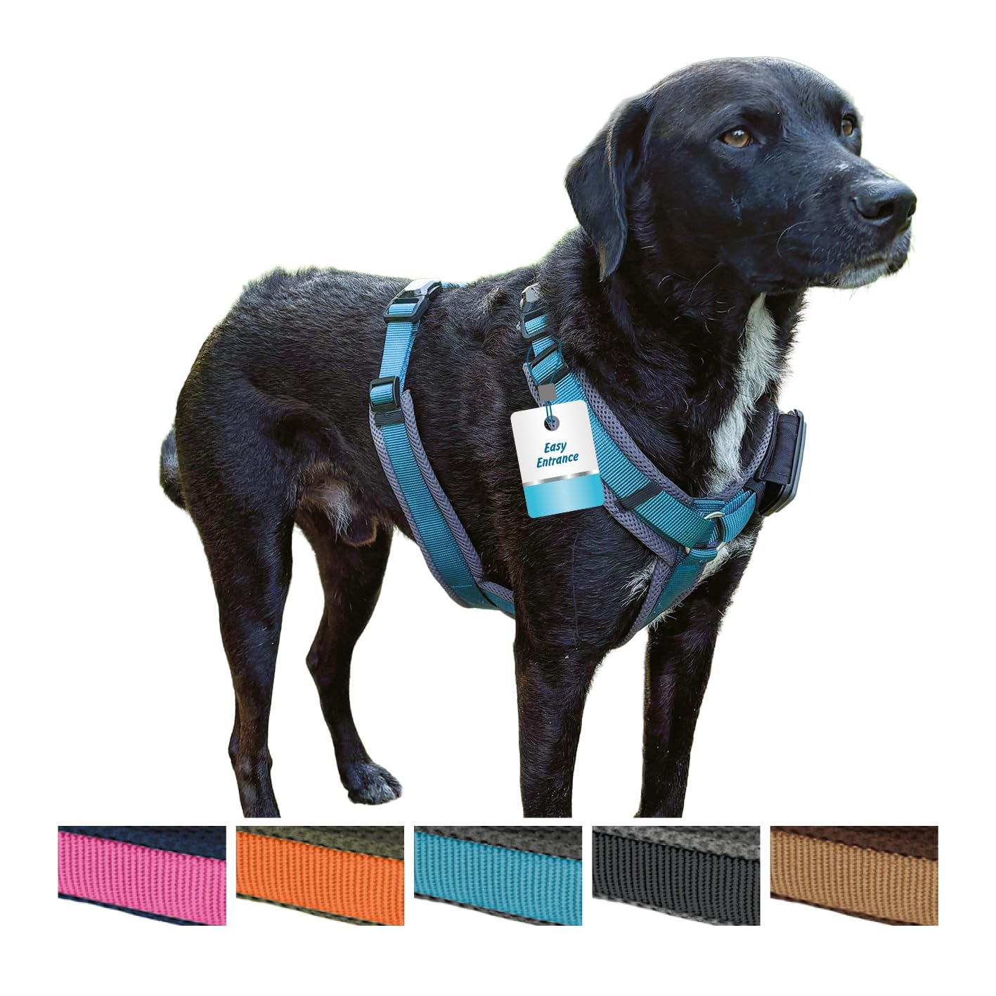 Petlando Hundegeschirr Magnetech Y-Comfort – Innovative Magnetschnalle, atmungsaktiv, mit Mesh gepolstert, stufenlos verstellbar – Navy/Fuchsia XS (Halsumfang 28-52cm, Brustumfang 32-50cm)
