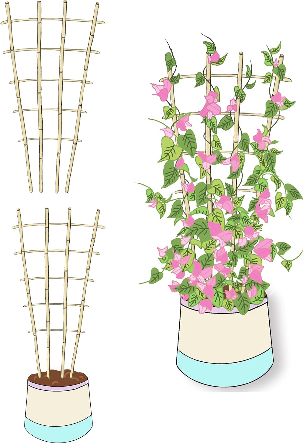 Natural Bamboo Trellis, 3Feet,3Pack,Fan-Shaped Plant Support Trellis for Outdoor and Indoor Potted Climbing Plants,Vegetables, Cucumber, Tomato, Hoya,