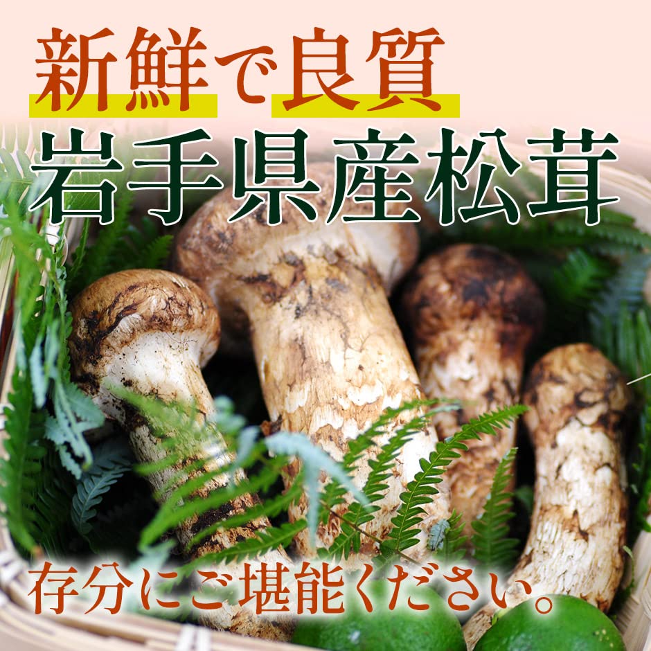 松茸 岩手県産 10月2日朝 536g｜野菜