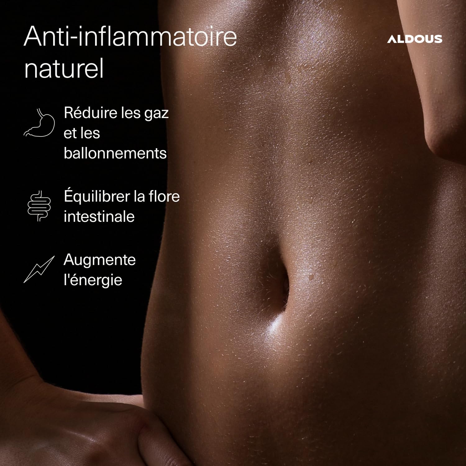250 Gélules PROBIOTIQUES + Curcuma BIO au Gingembre et Poivre Noir - 1460mg - Curcuma à base de Curcumine et Pipérine - Anti-inflammatoire Naturel - Formule Avancée - Certifié Bio - ALDOUS