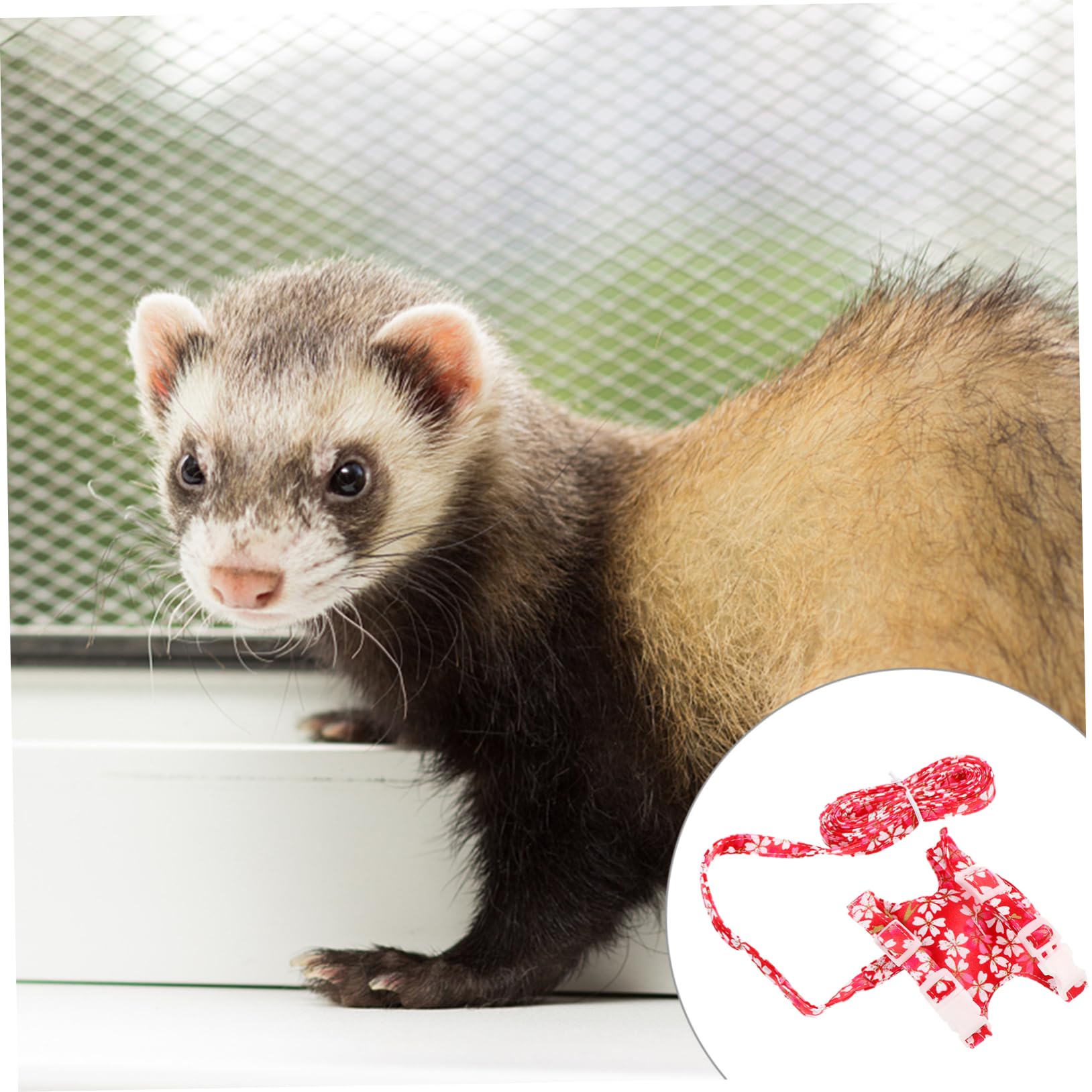 Kisangel 3sätze Frettchen Geschirr Und Leine Set Verstellbare Und Bequeme Haustierweste Für Kleine Tiere Wie Frettchen Und Hamster Aus Atmungsaktivem Baumwoll Und Leinenmaterial