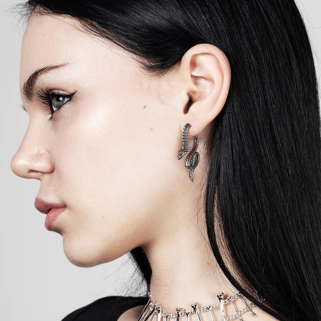 HZMAN Retro Dragon Earrings for Men Women Stainless Steel Gothic Punk Piercing Splicing Dragon Head Stud Earring Party Jewelry Gift - Image 2