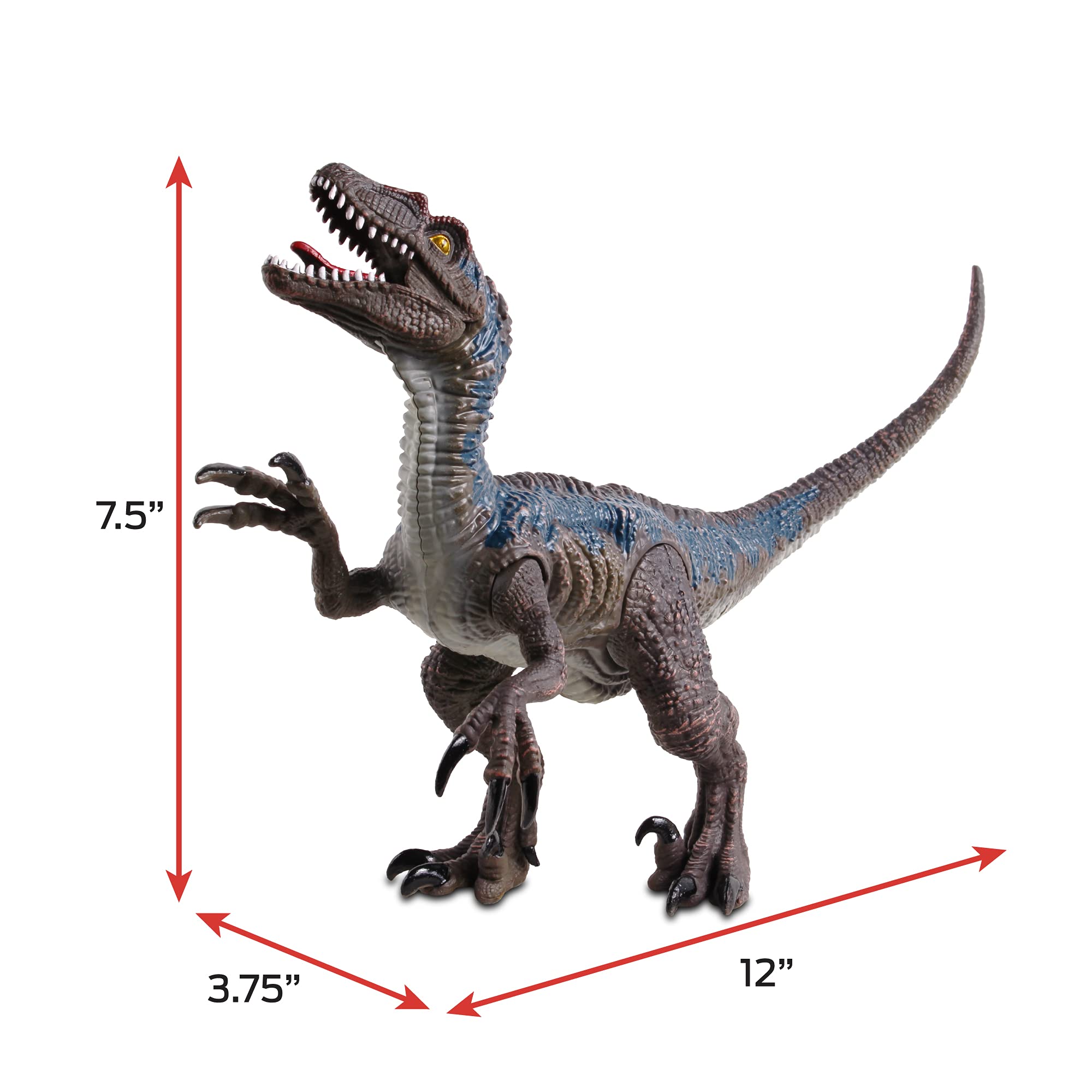 Amazon.com: NKOK WowWorld B/O Velociraptor (Lights & Sounds