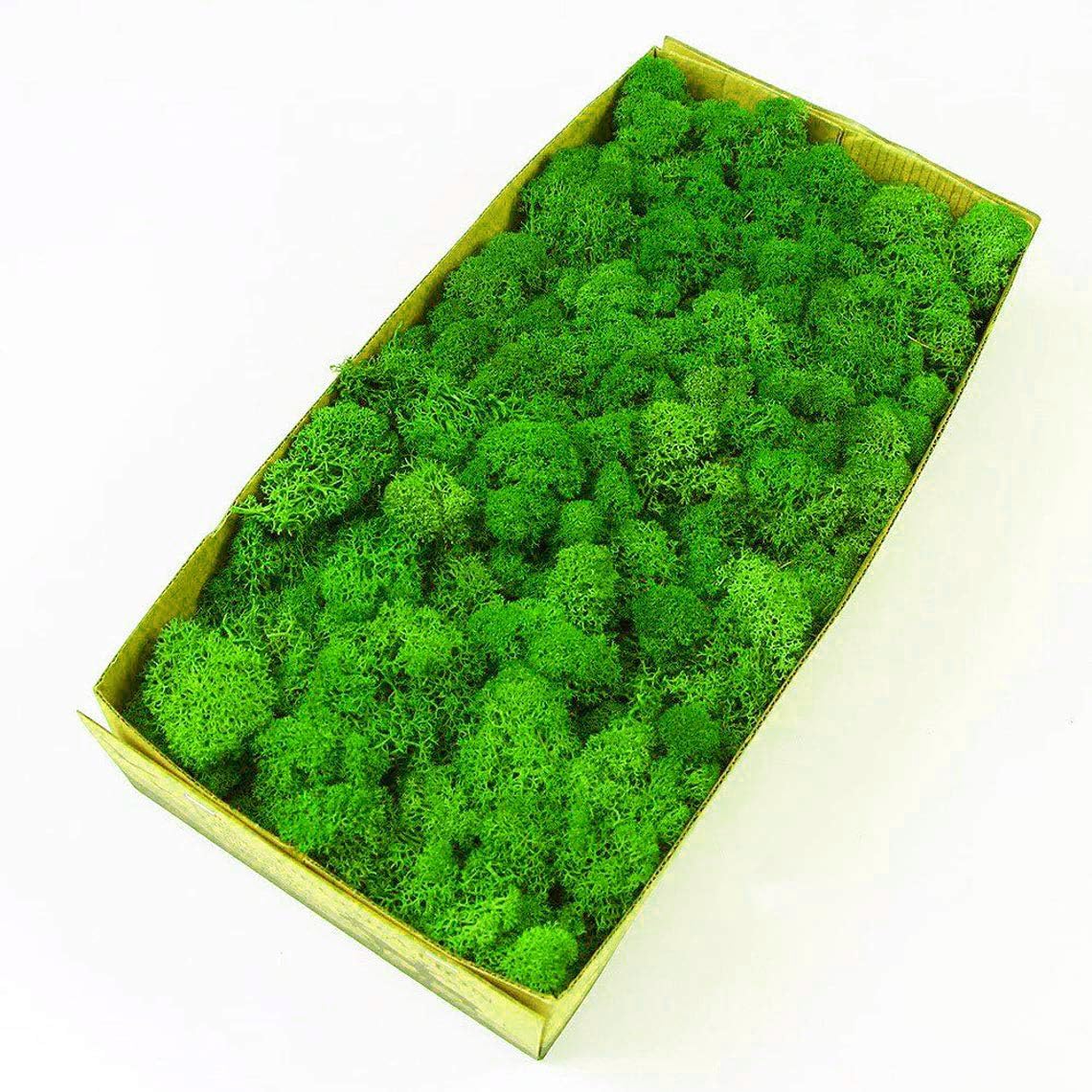 prefleurPreserved Reindeer Moss Natural Green DIY Kit Terrariums Gardenning Art Wall Decor Florist Decor Easter Table Decor Wedding Decor (0.85lb) (Green-04)