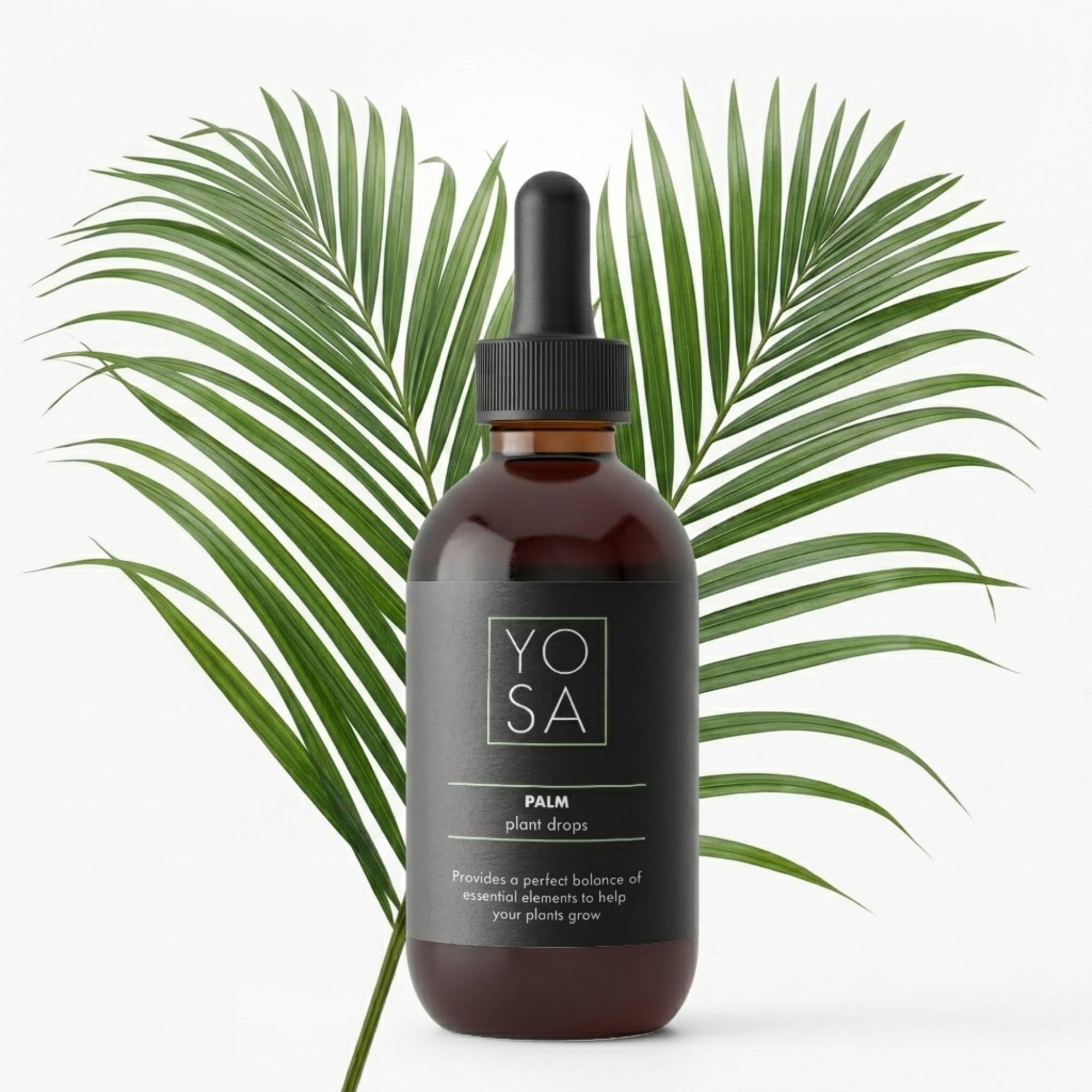 YOSA Palm Indoor Plant Food 100ml – Premium Liquid Fertiliser for Indoor Plants, Palm Focus Nutrients for Growth, Strong Roots, Healthy Leaves, Indoor Palms Fertiliser (NPK 12-4-12) — image 1