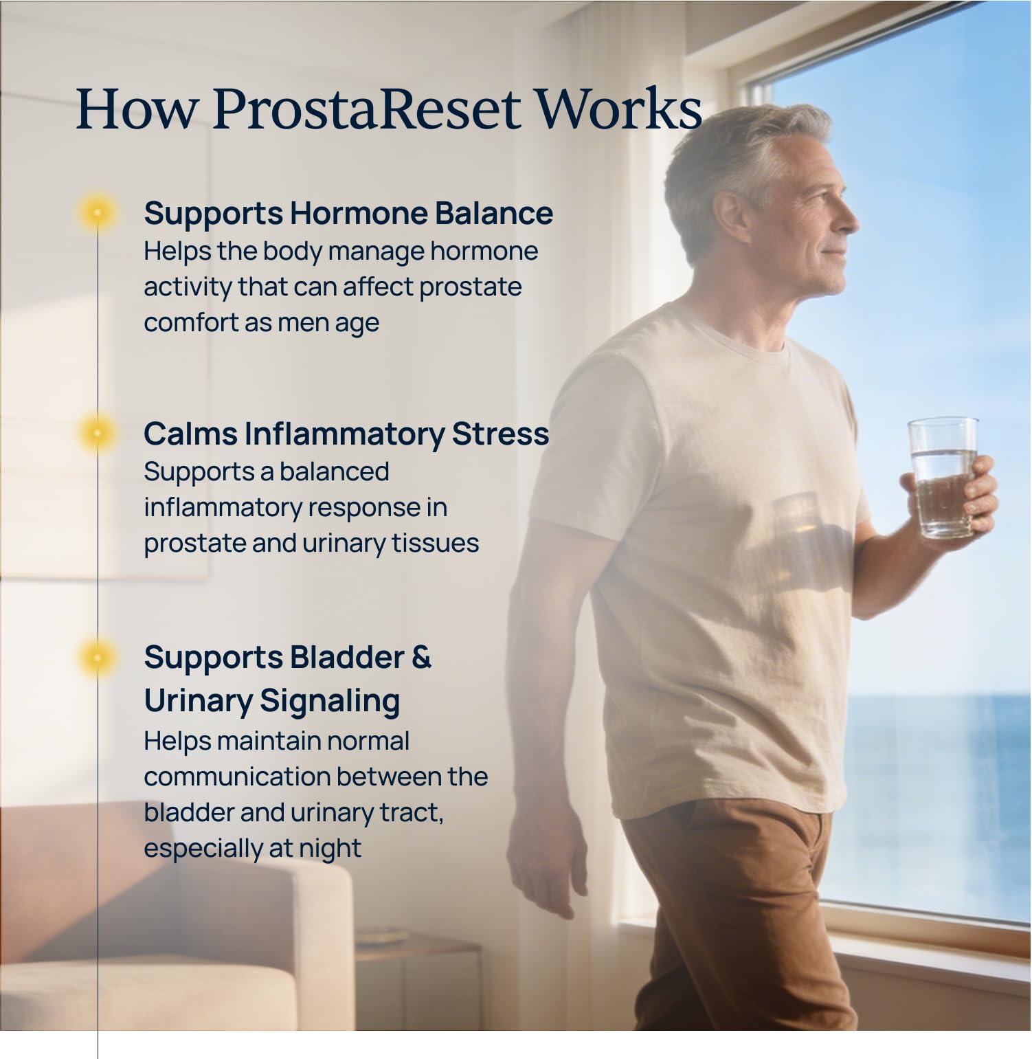 Simple Promise - ProstaReset