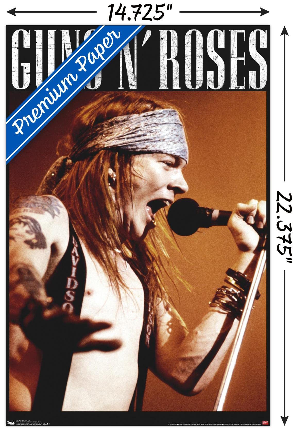 激レア　Guns N' Roses プロモポスター　ガンズアンドローゼズ　axl Amazon.com: Trends International Guns N' Roses - Axel Wall Poster