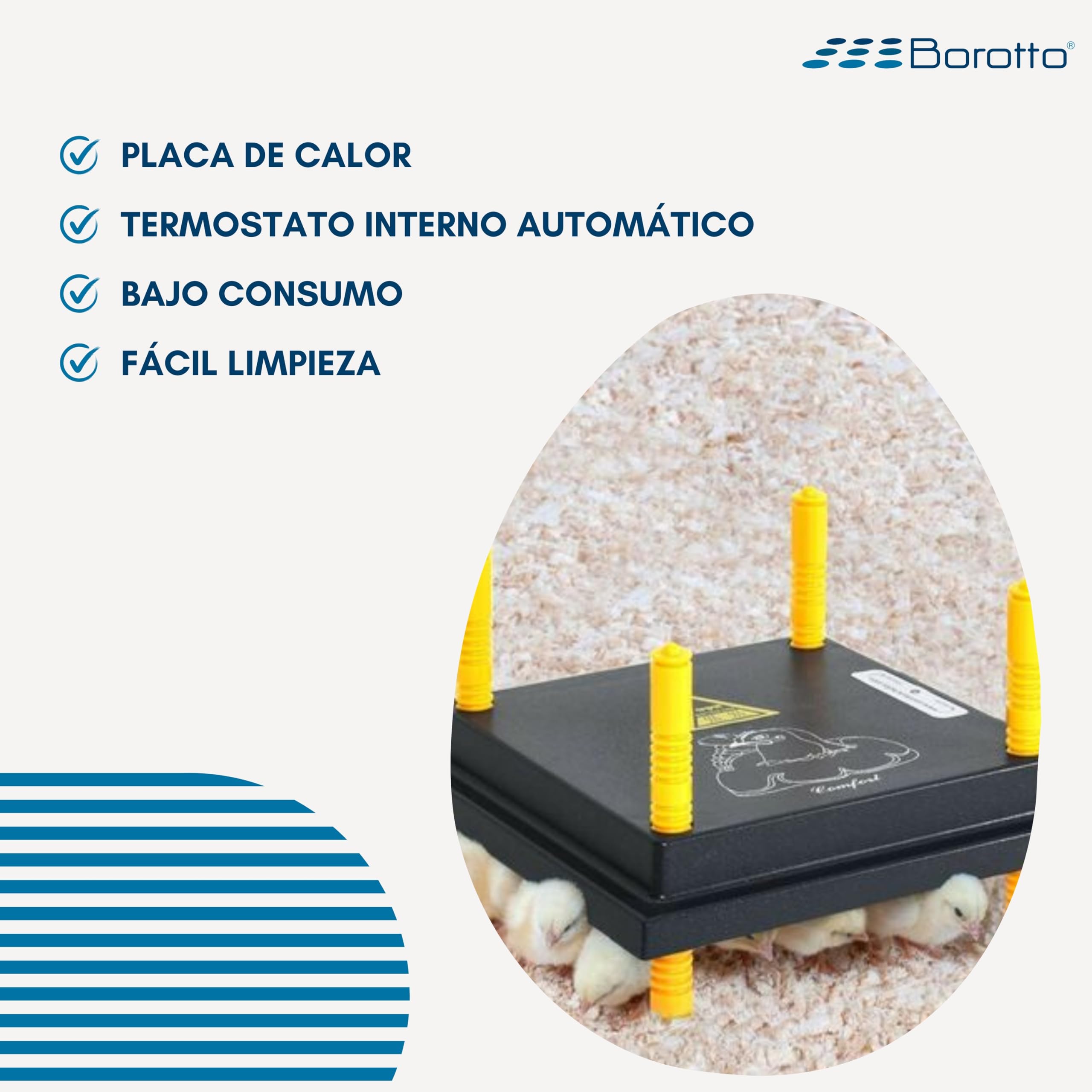 Borotto Criadora de Pollitos Placa de Calor Altura Ajustable Bajo Consumo 20/25 Pulcini