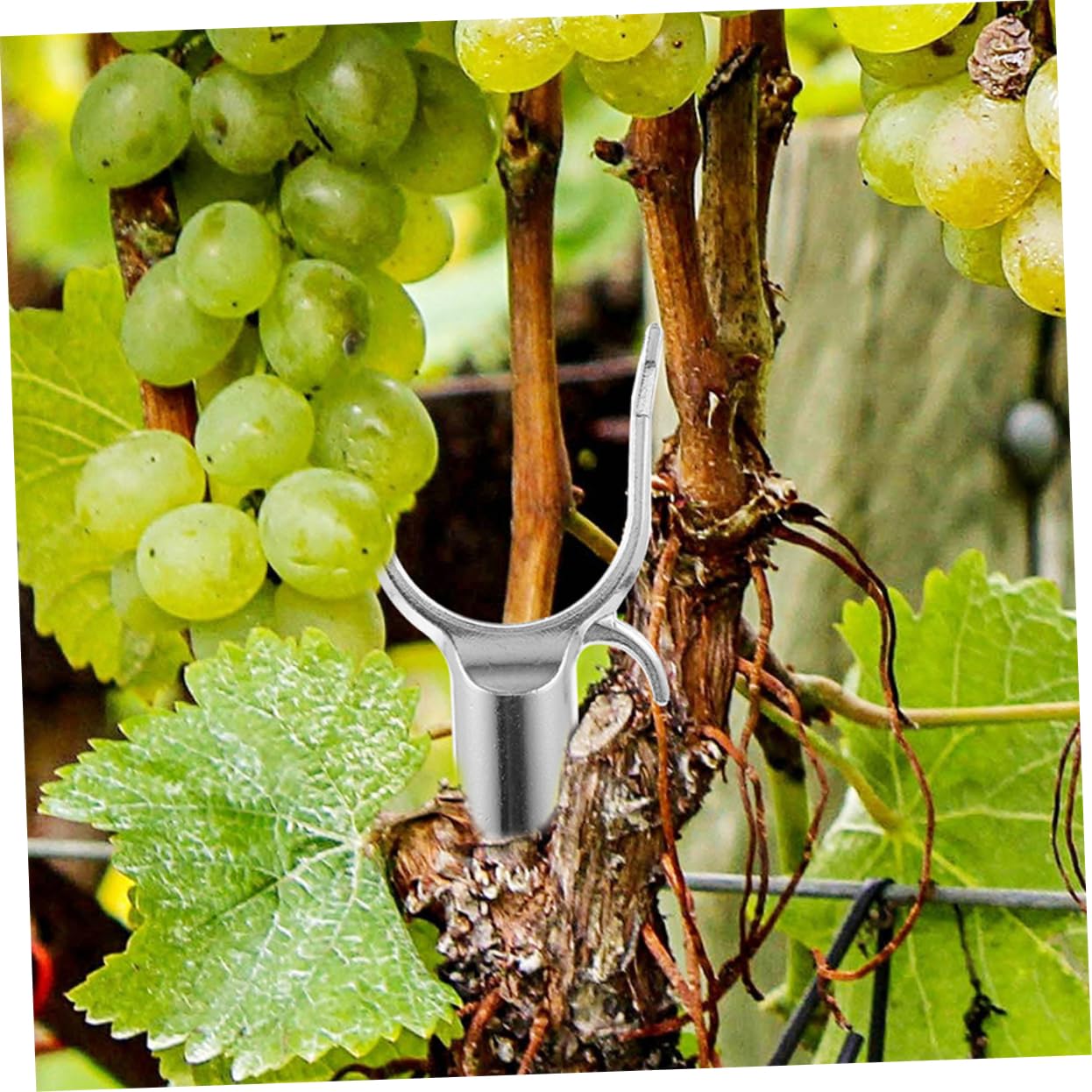 15 Stück Obstbaumschutzhilfe aus Aluminiumlegierung Leichte und Harte Astgabel für Garten Obstbaumstütze und Pflanzenunterstützung im Freien