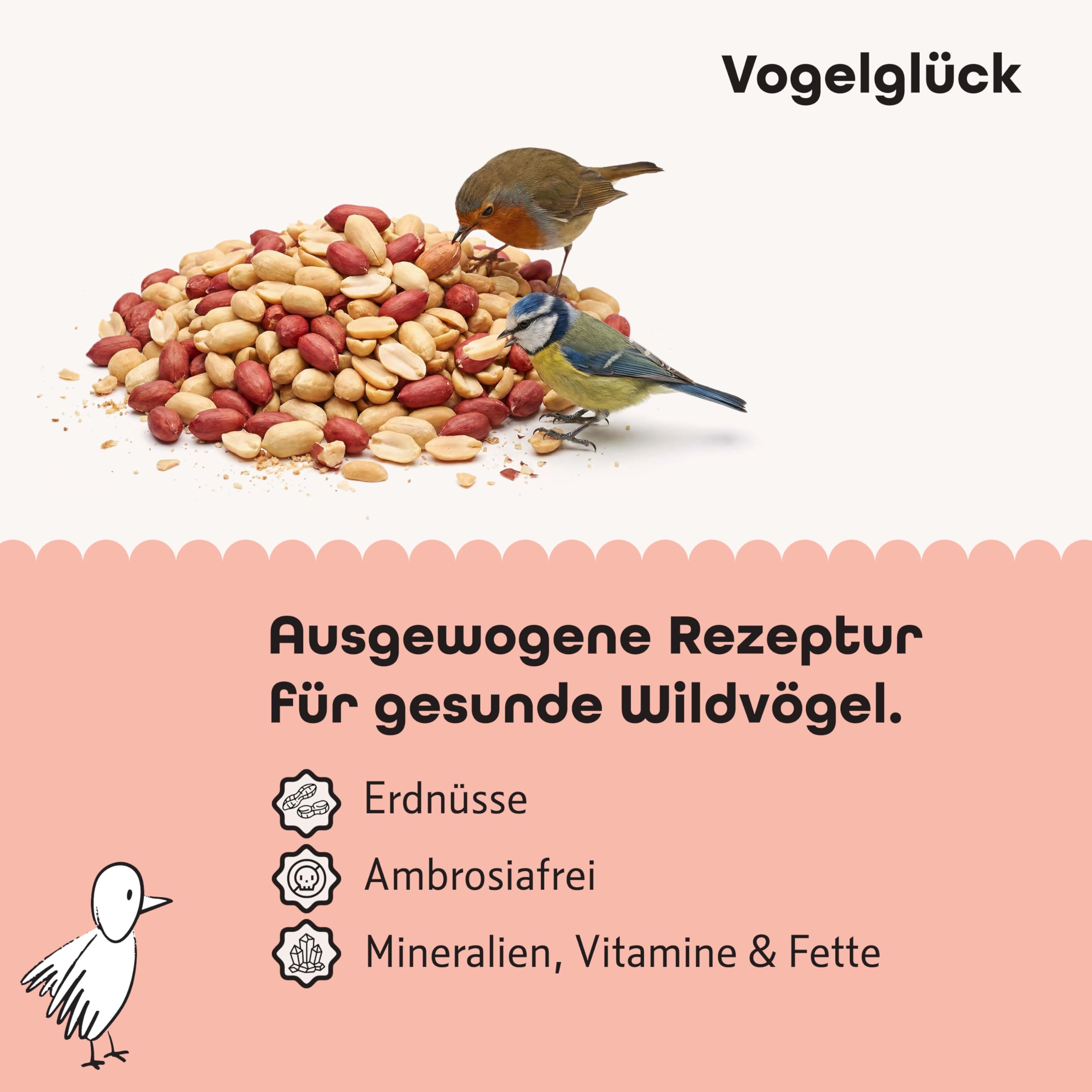 Vogelglück Erdnusskerne Vogelfutter 20 kg geschält – energiereich, schalenfrei, gereinigt und Sortiert – Erdnüsse für Nussspender, Silo, Futtertisch und Bodenfütterung, geeignet für Wildvögel