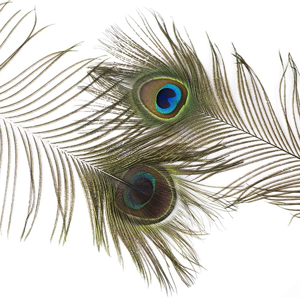 Natural Peacock Eye Feathers - 40-45" 100pc Craft Supply DIY Wedding Decor