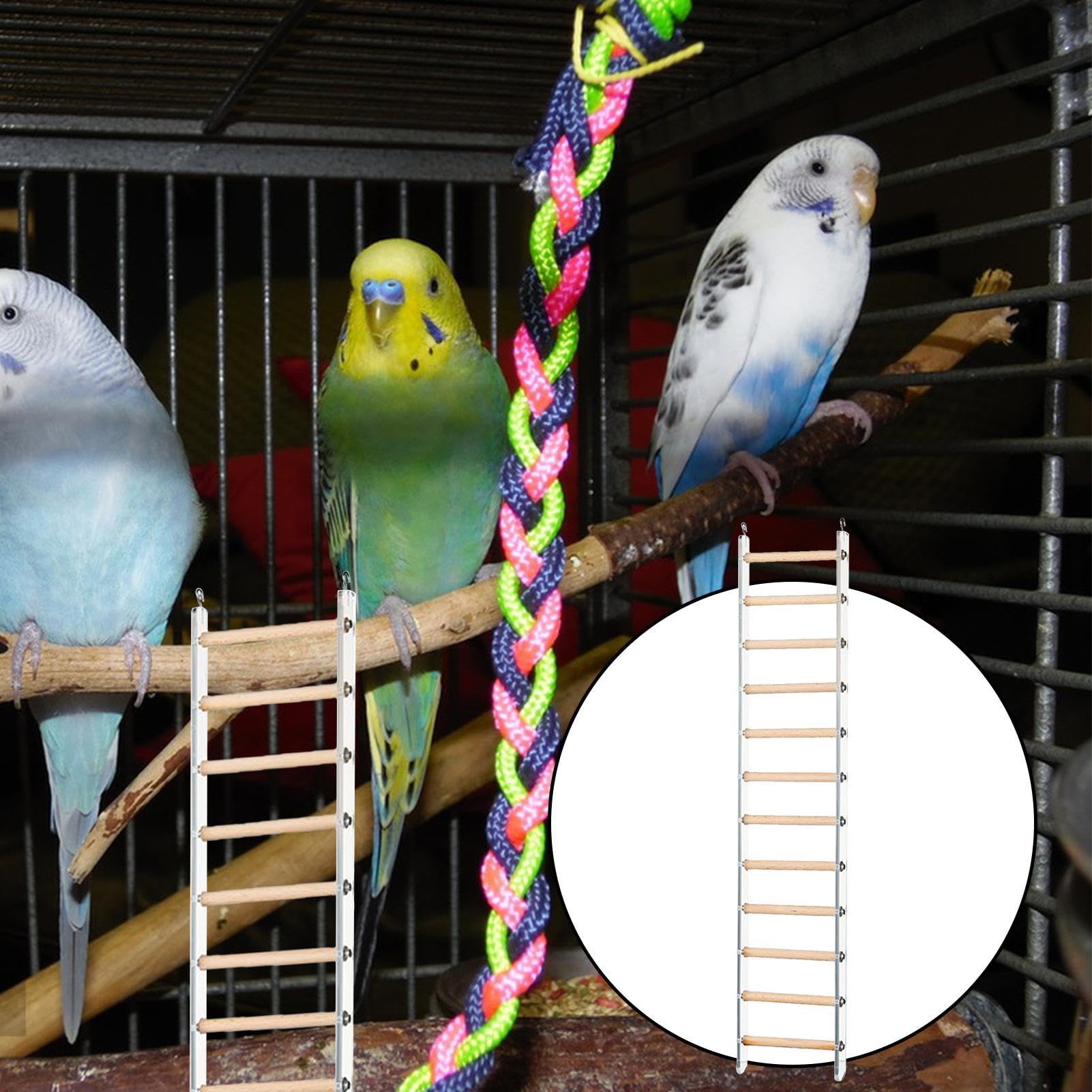 Échelle de Perroquet, échelle de Perruche | Étape Perche pour la Cage - Échelle d'oiseau avec Crochet Rotatif à 360 ° pour perroquets parakets à pochets à Poche