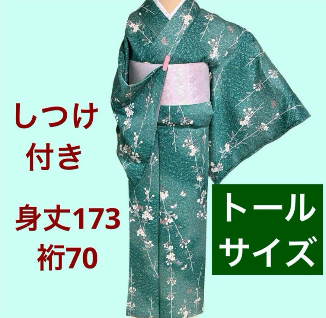 未着用 作家もの 小紋 縦縞 臈間道 グリーン たたき染め 着物